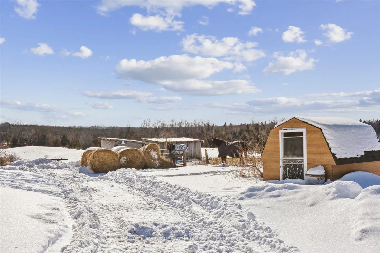 217 Fairbairn Road