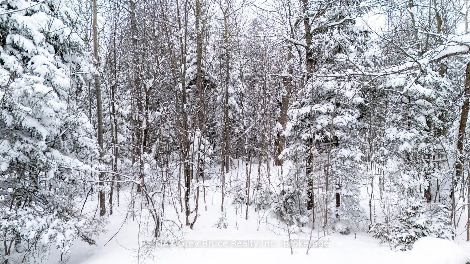 496 Berford Lake Road