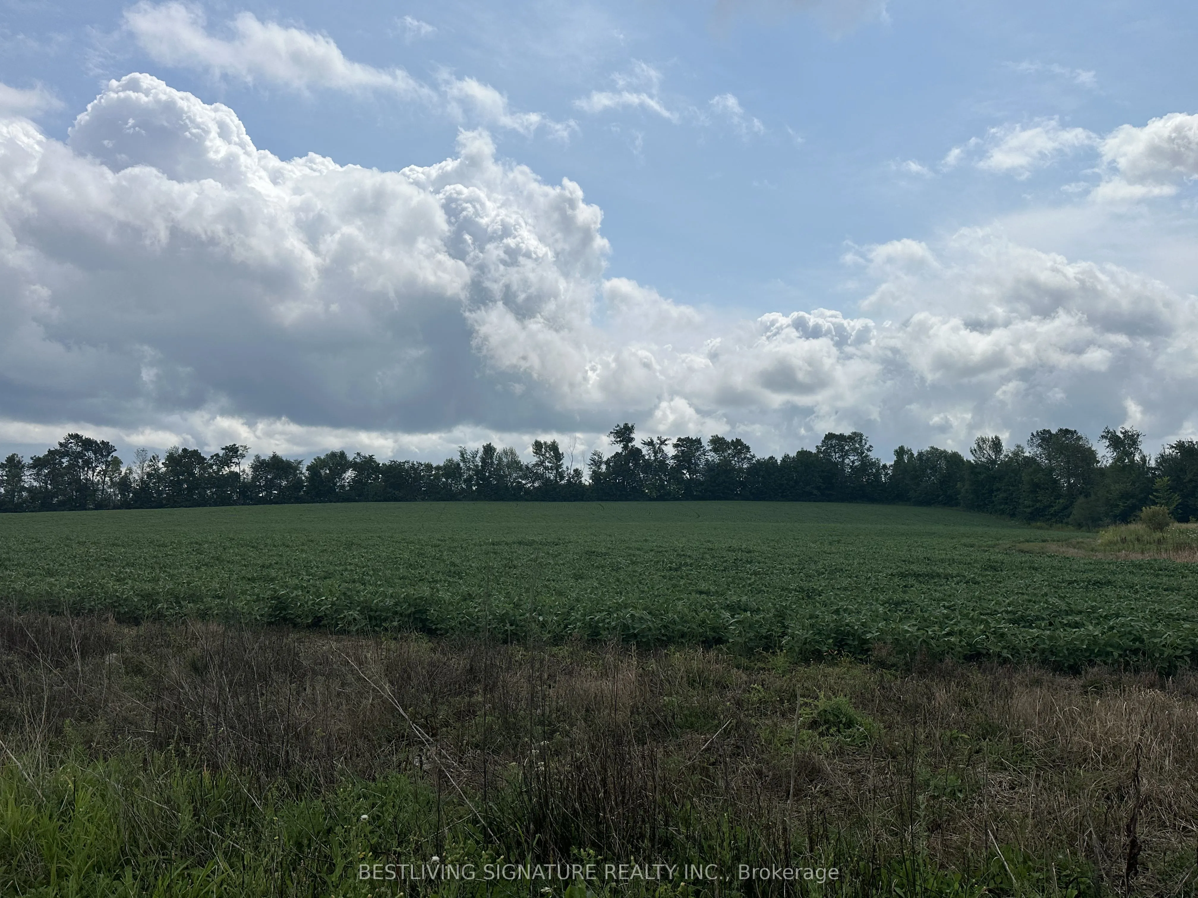 3752 Elm Tree Road