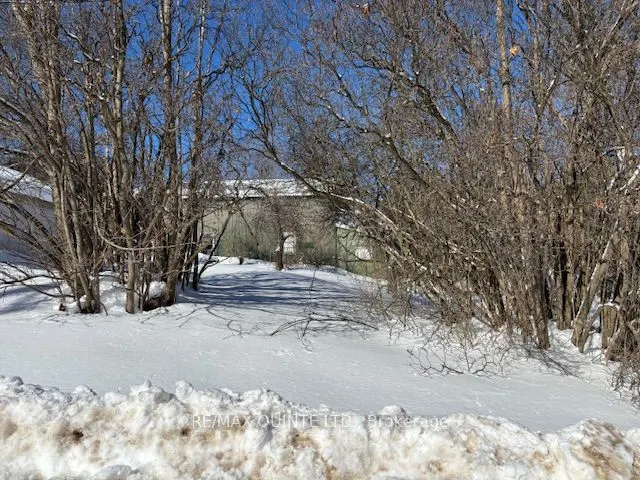 55 Nelson Street