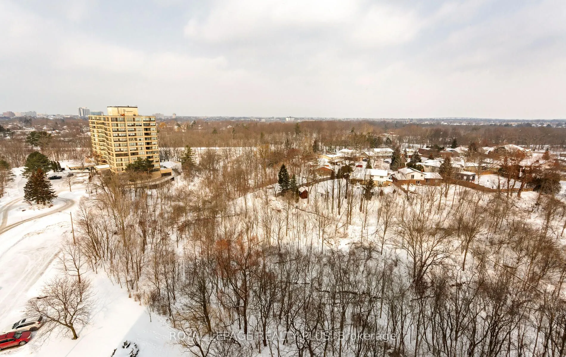 15 Towering Heights Boulevard #1204