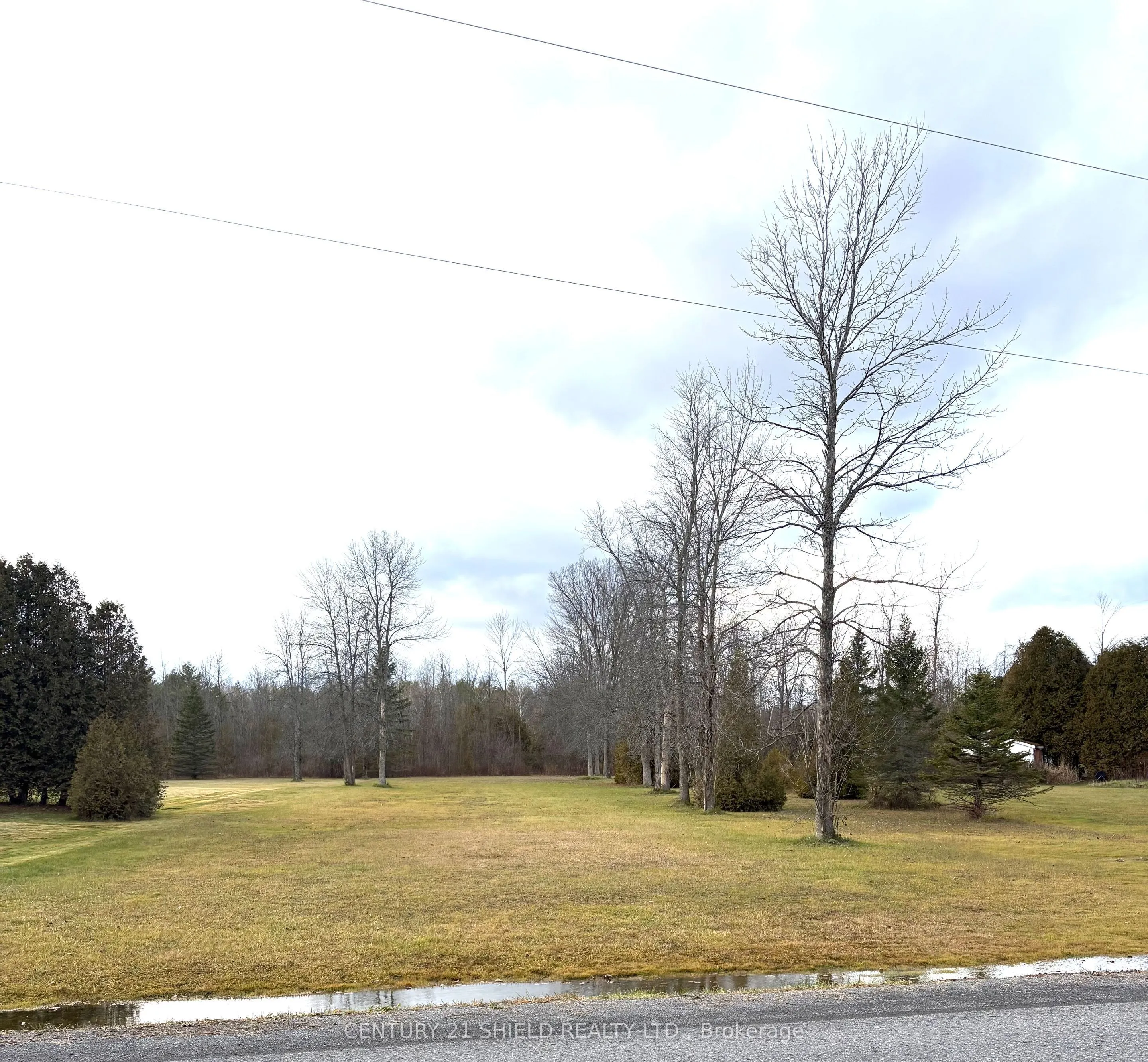 0000 Dafoe Road