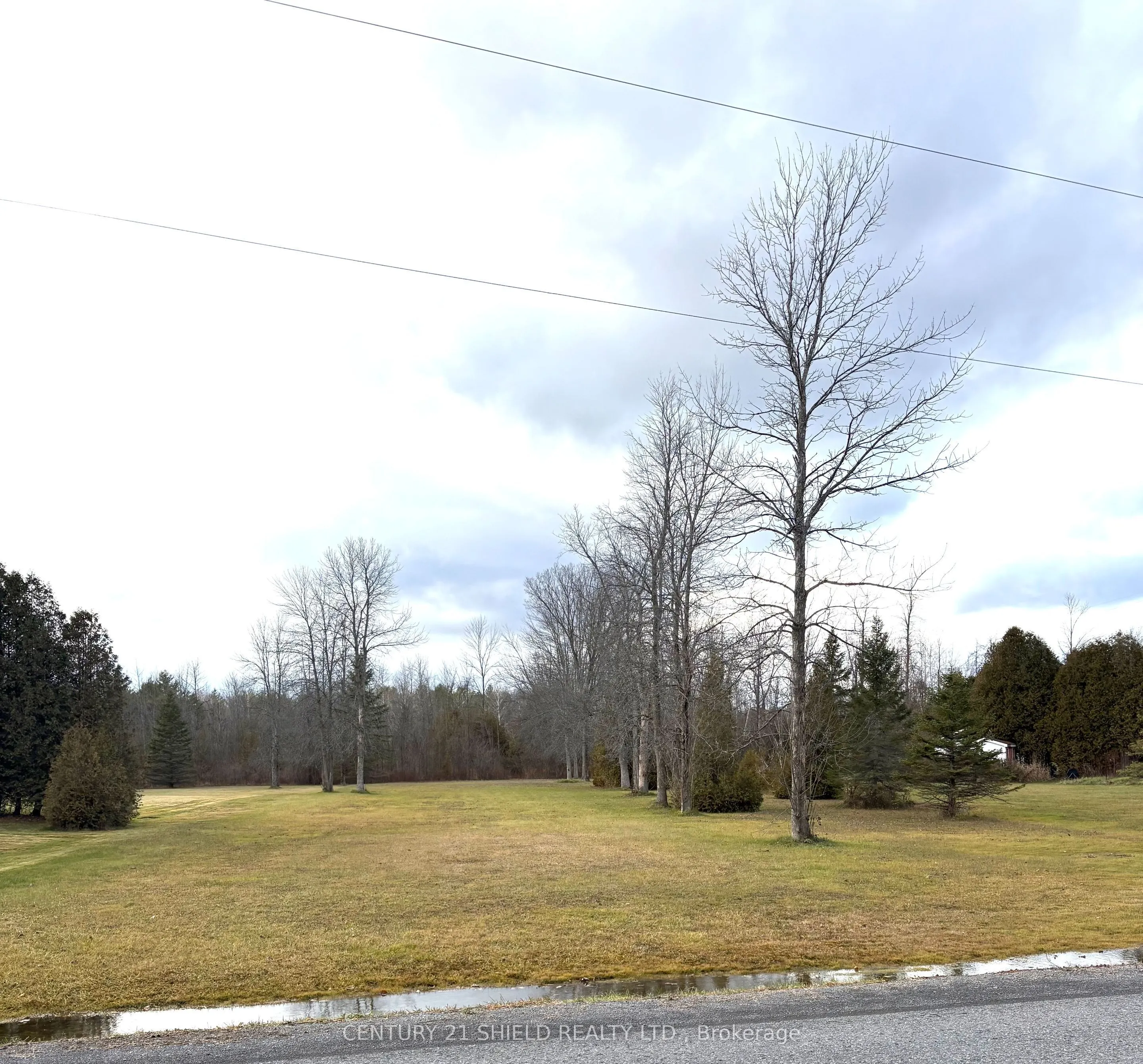 0000 Dafoe Road
