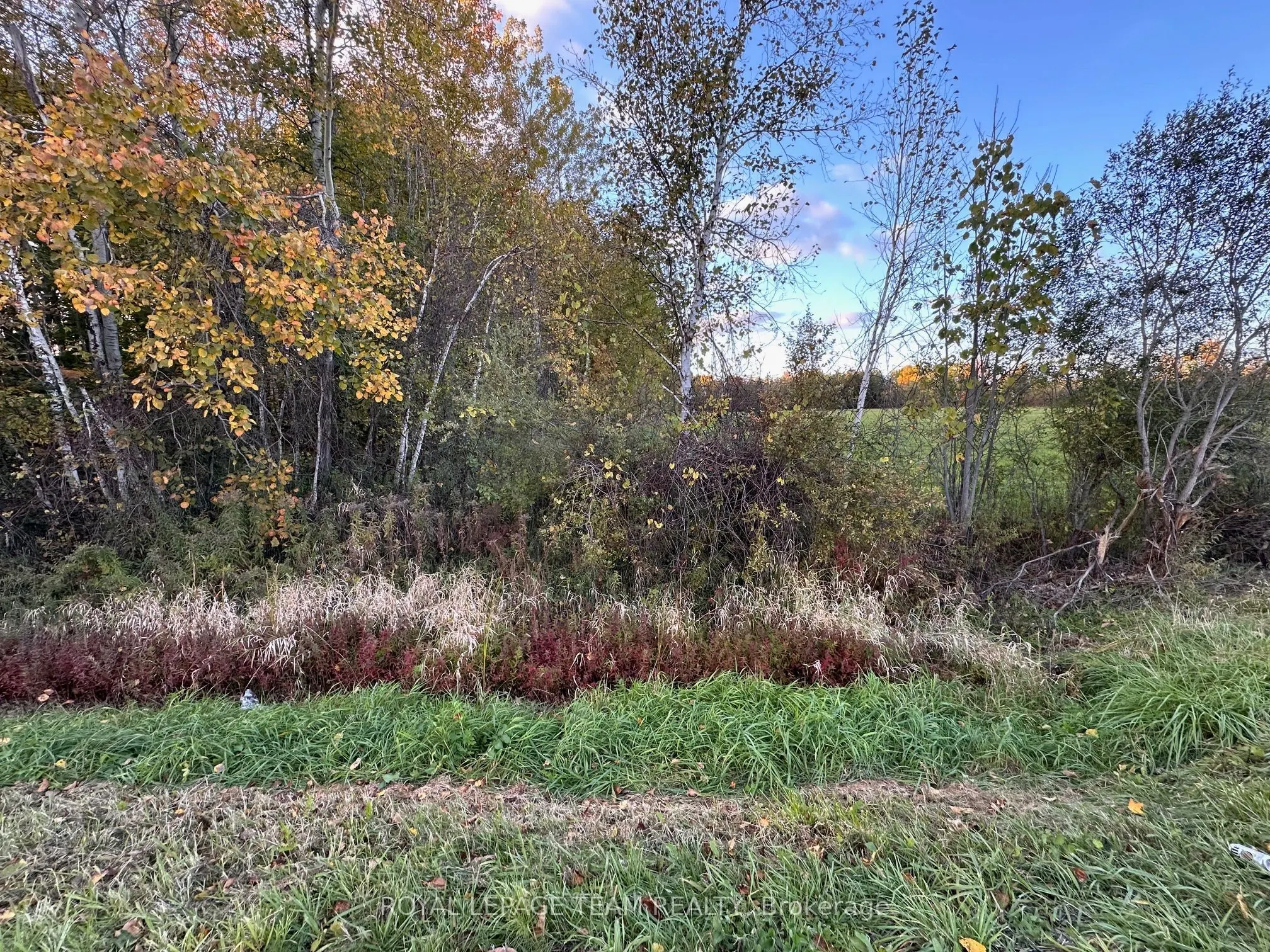1667 COUNTY ROAD 20 Road
