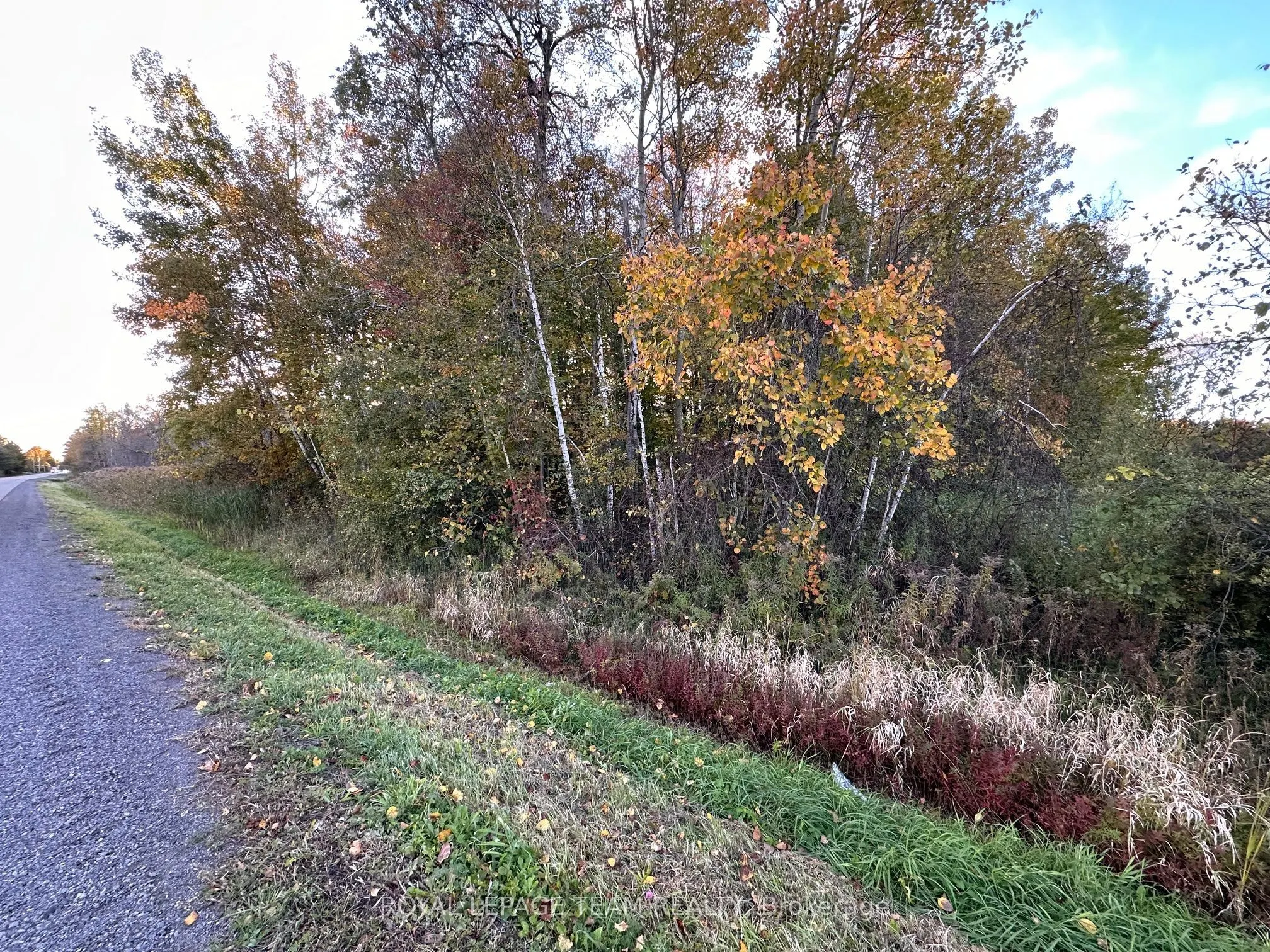 1667 COUNTY ROAD 20 Road