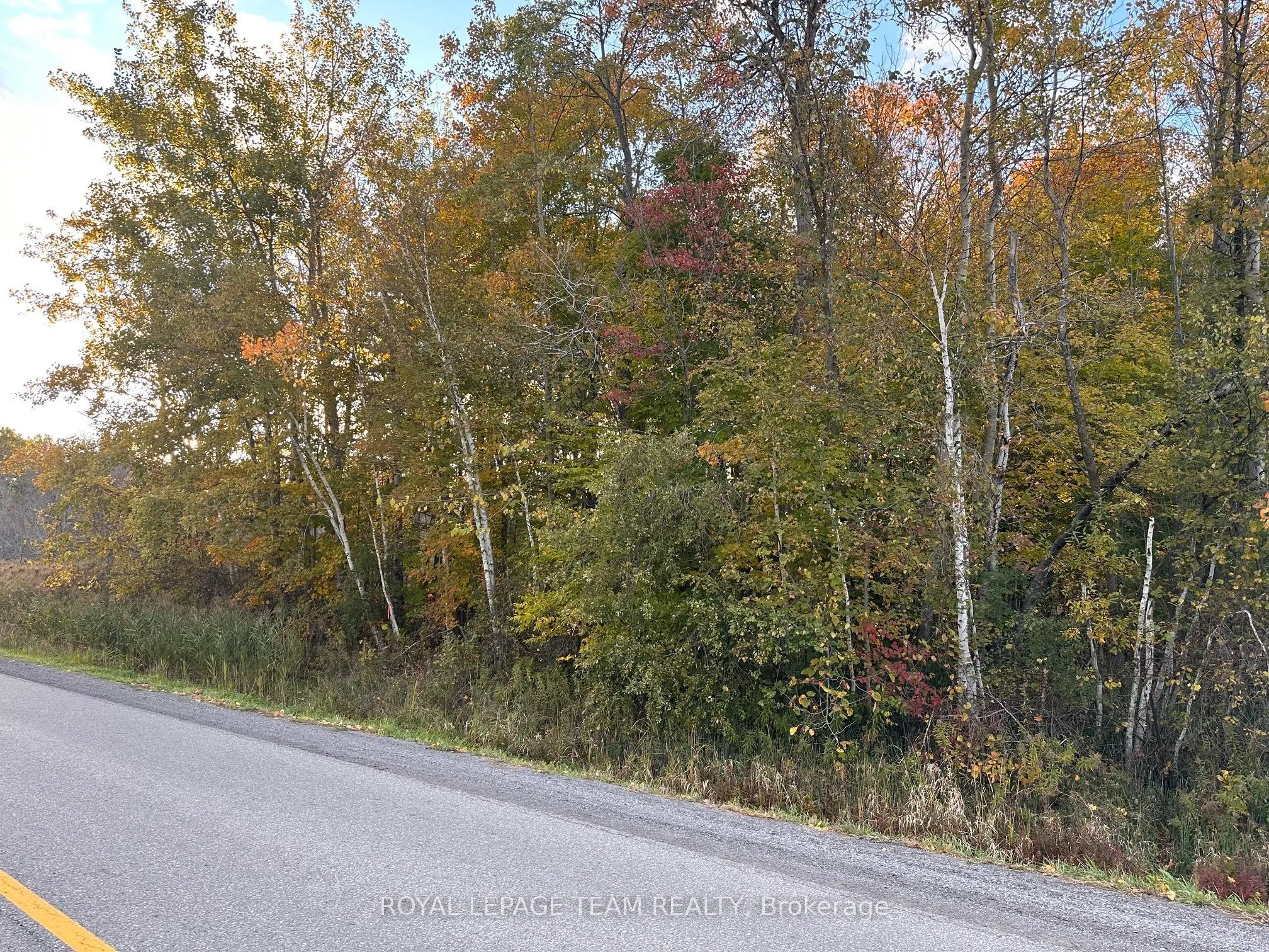 1667 COUNTY ROAD 20 Road