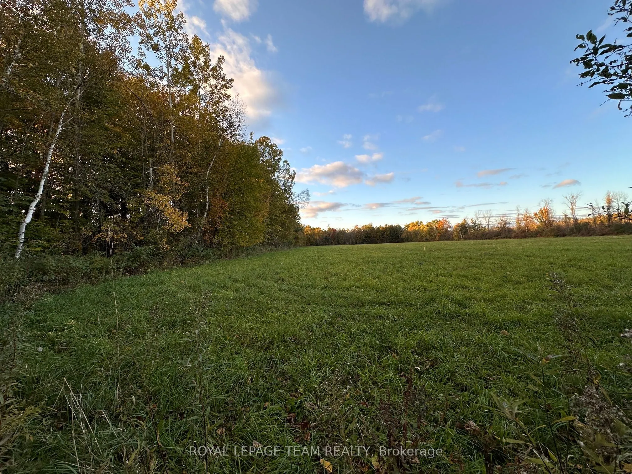1667 COUNTY ROAD 20 Road