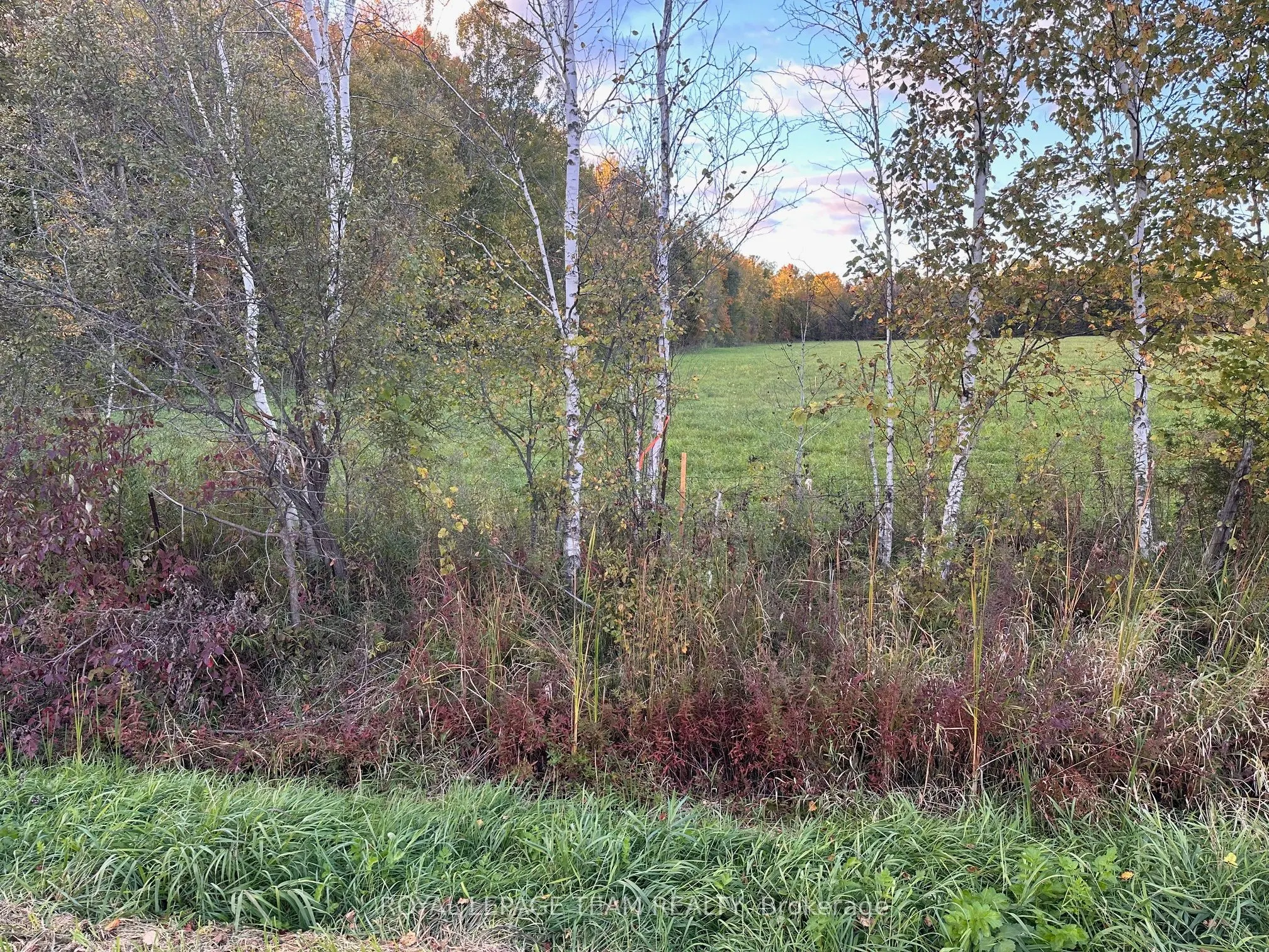 1667 COUNTY ROAD 20 Road