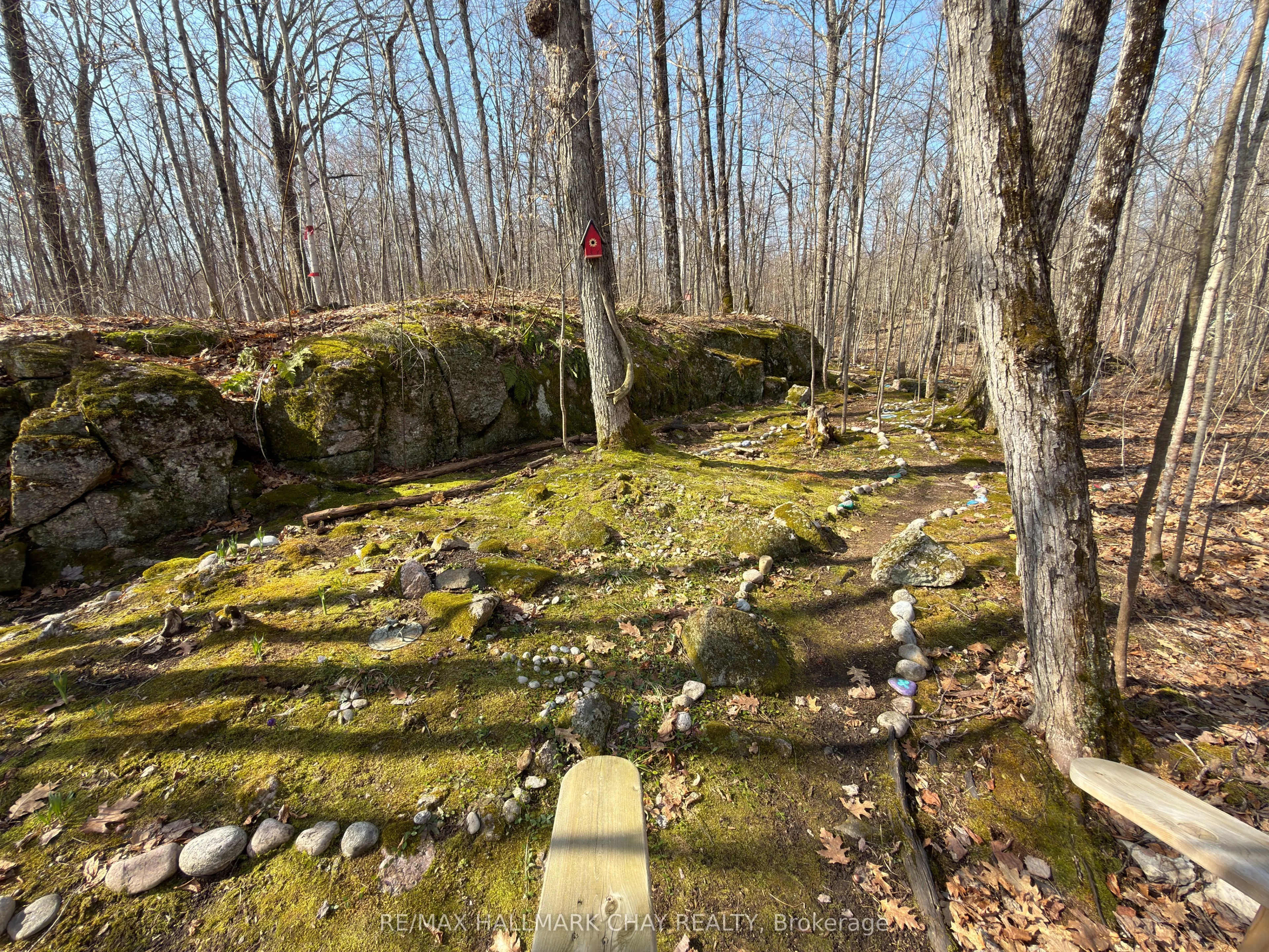 137 Pickerel Point Road