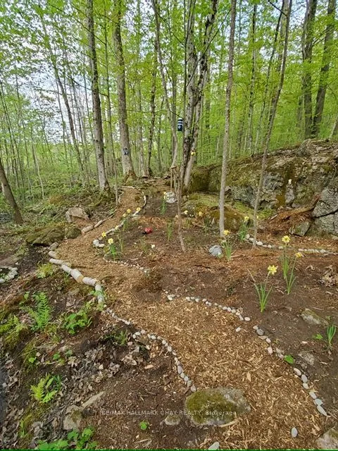 137 Pickerel Point Road
