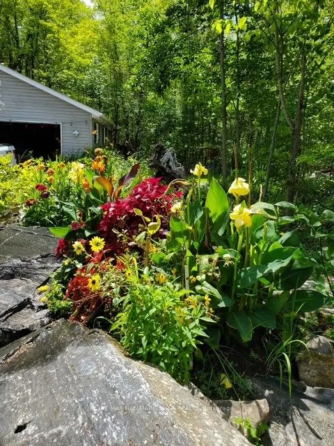 137 Pickerel Point Road
