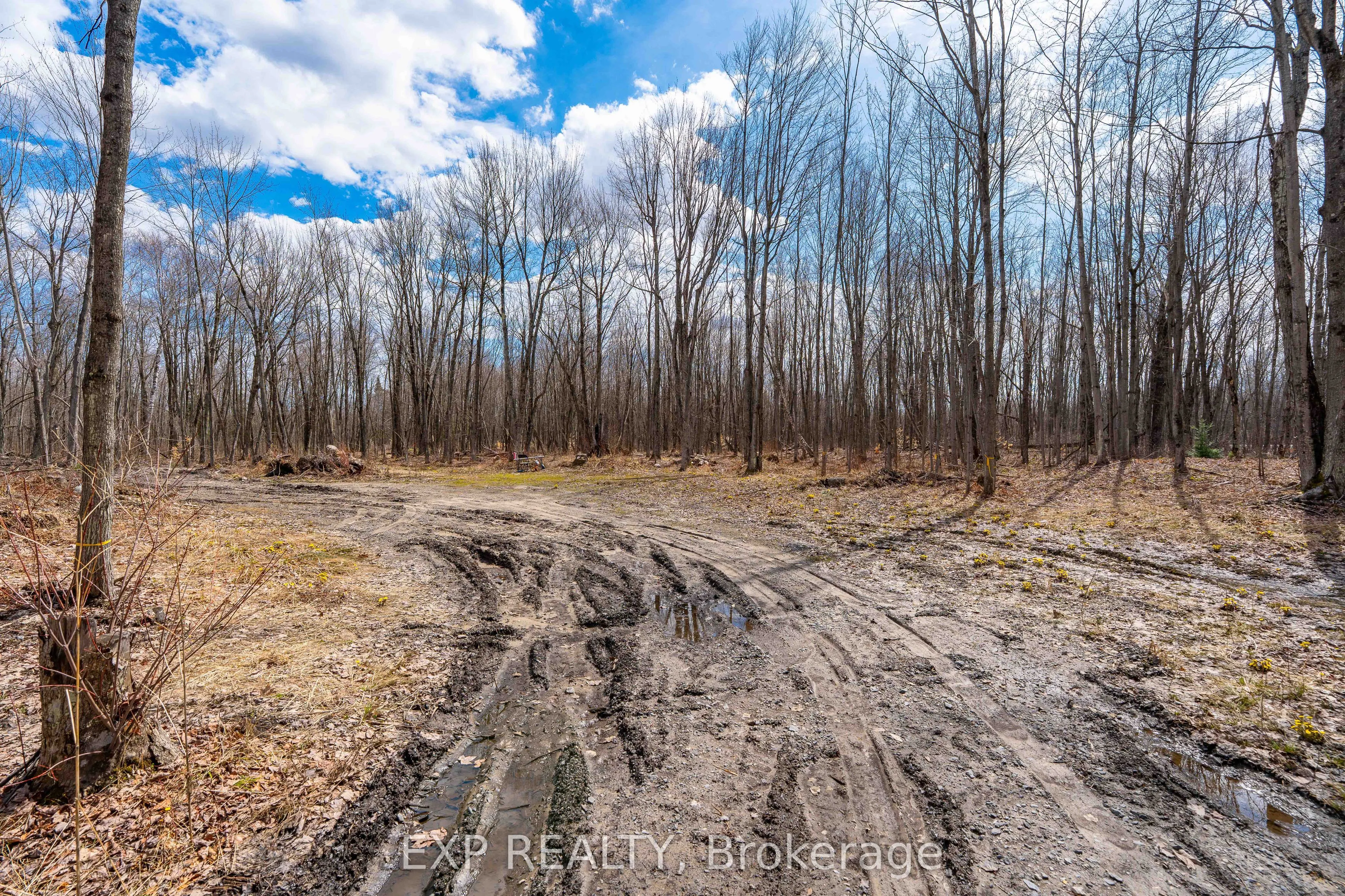 Lot 20 CONCESSION 4 Road