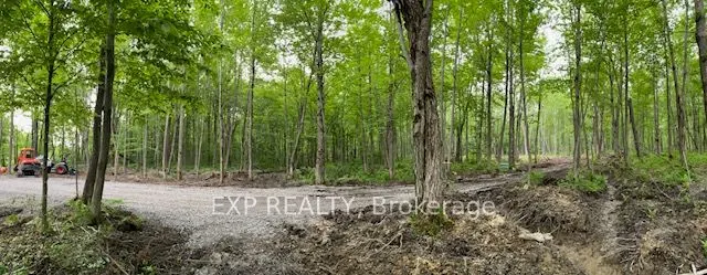 Lot 20 CONCESSION 4 Road