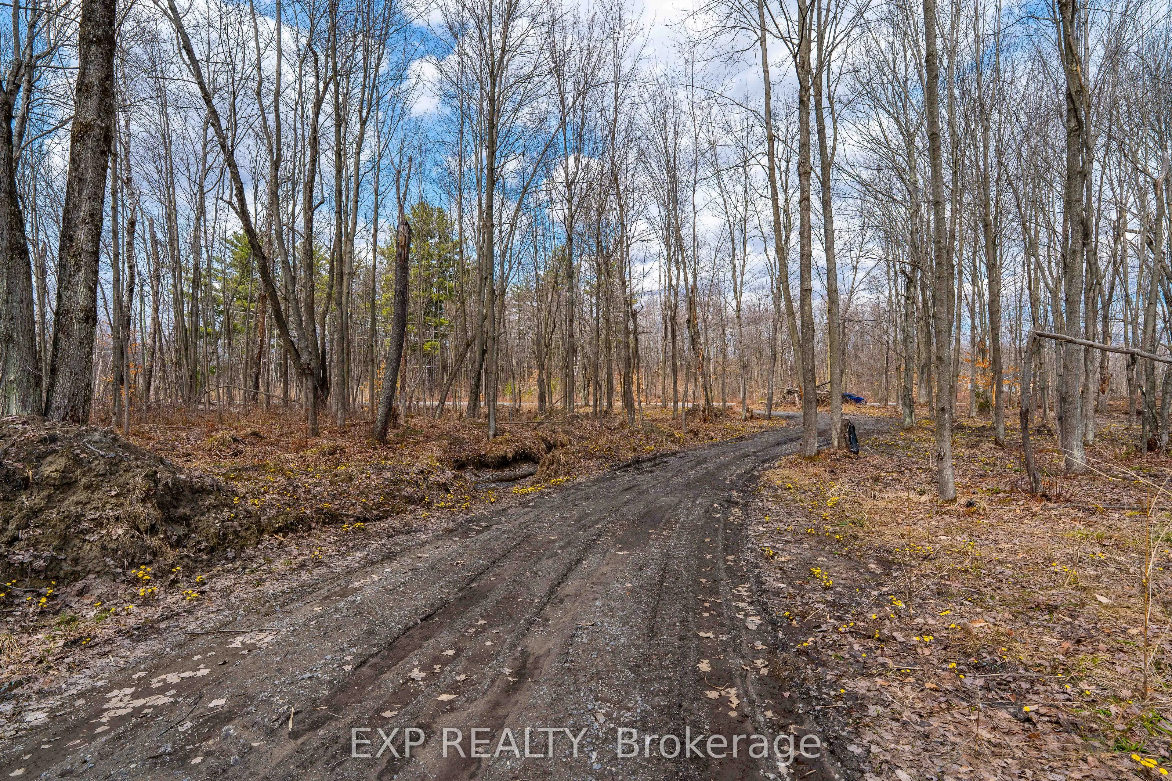 Lot 20 CONCESSION 4 Road