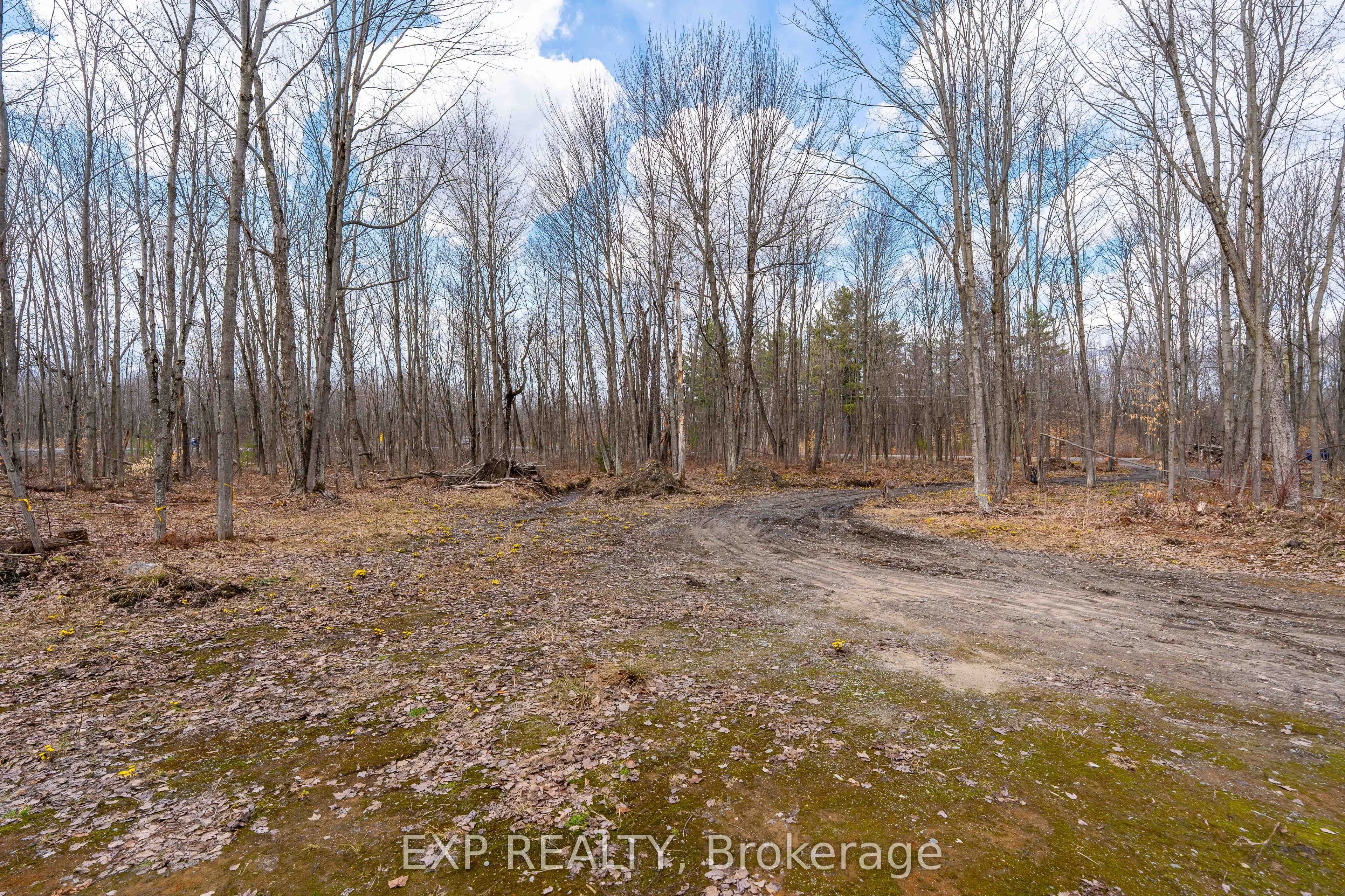 Lot 20 CONCESSION 4 Road