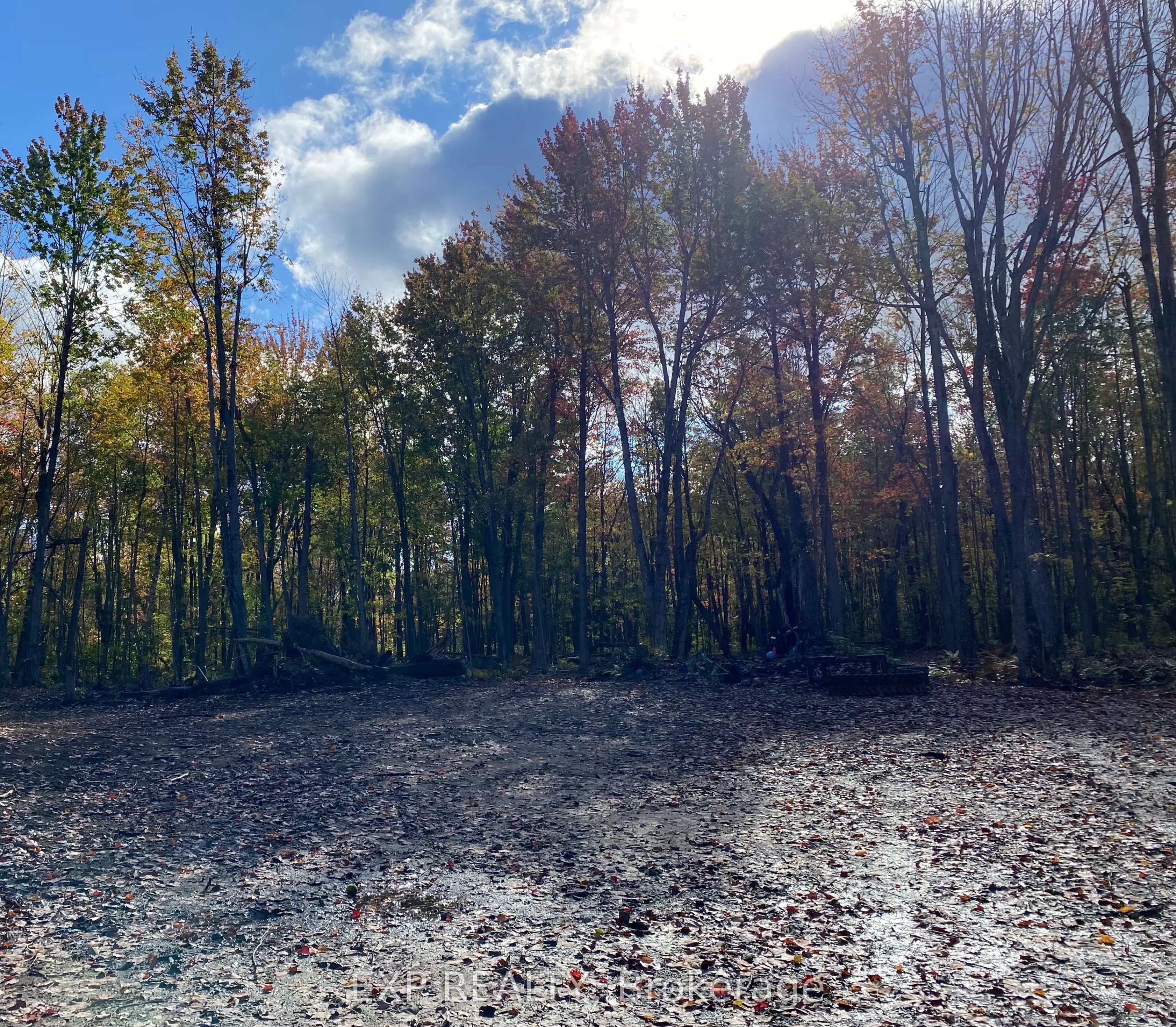 Lot 20 CONCESSION 4 Road