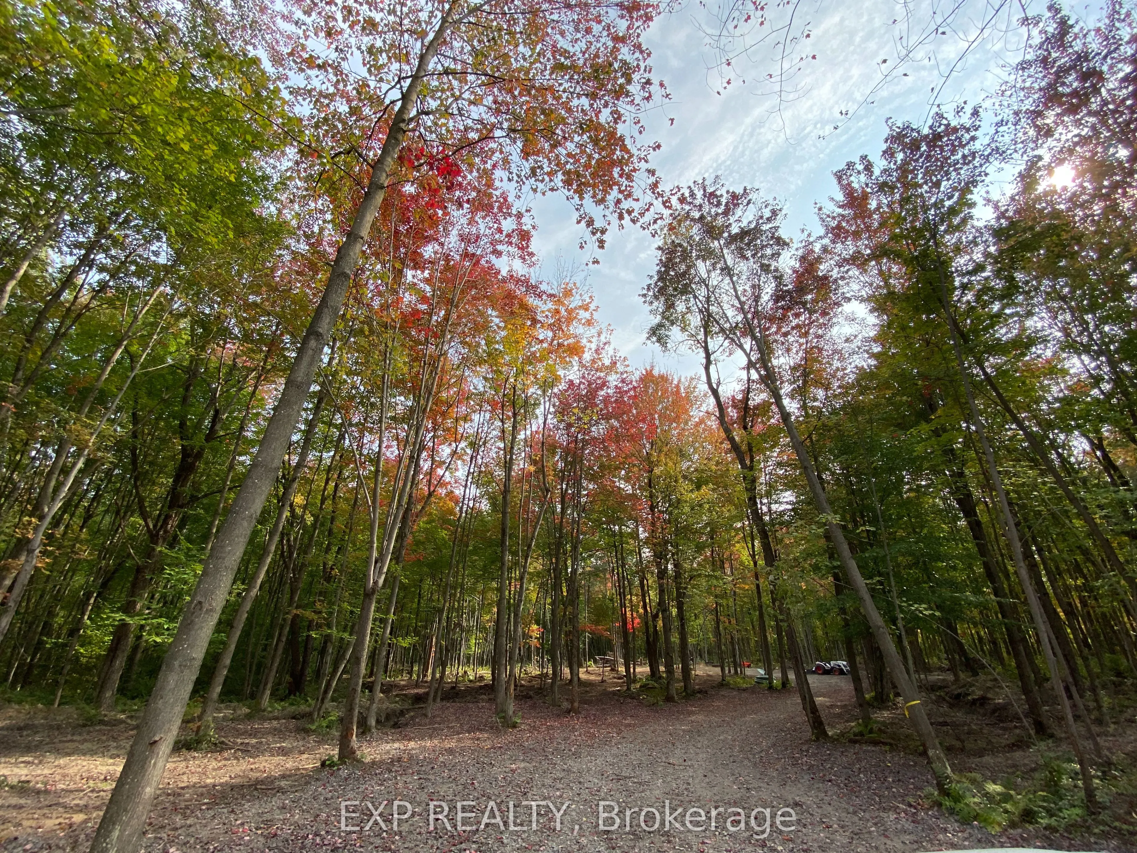 Lot 20 CONCESSION 4 Road