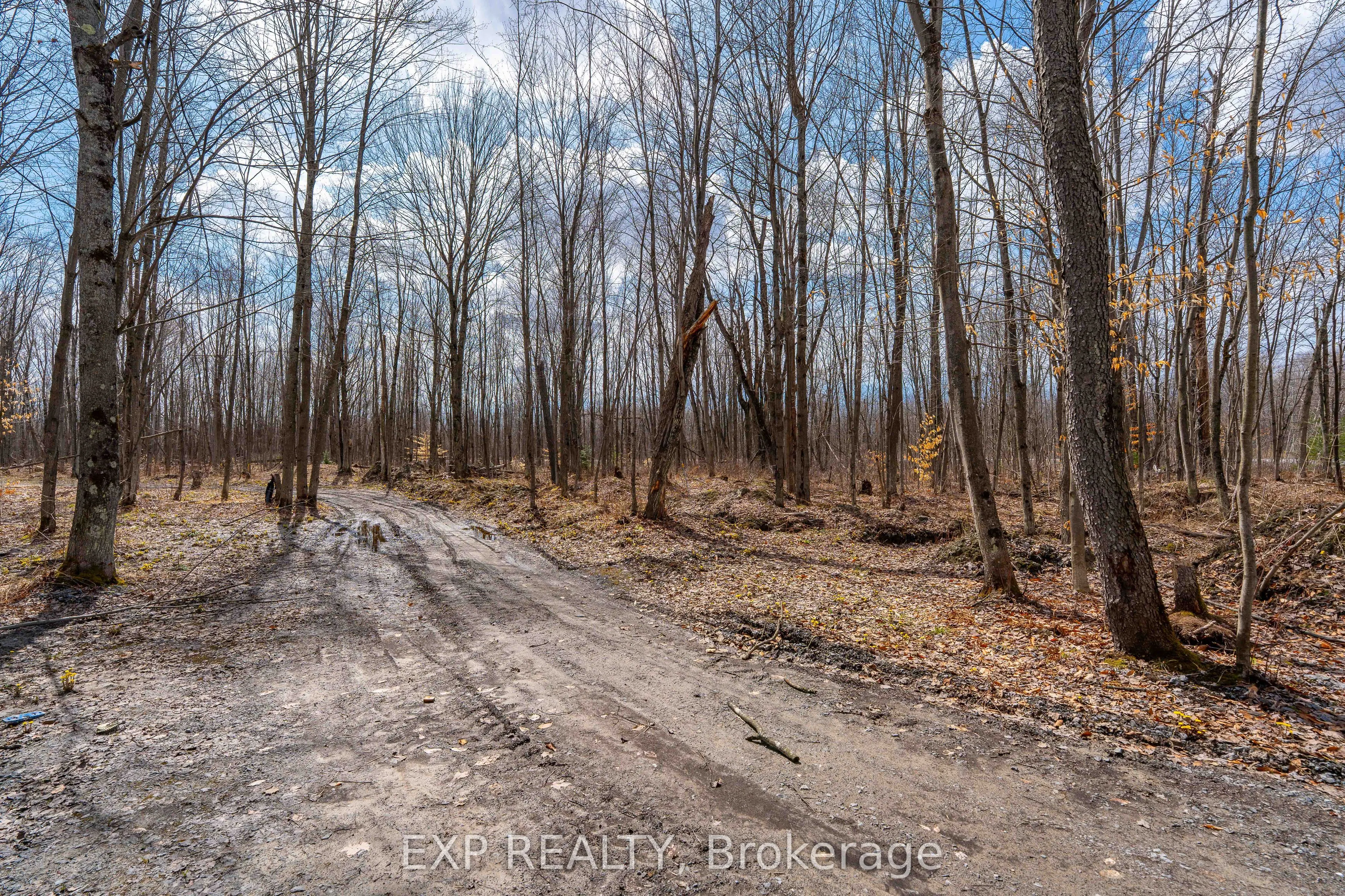 Lot 20 CONCESSION 4 Road