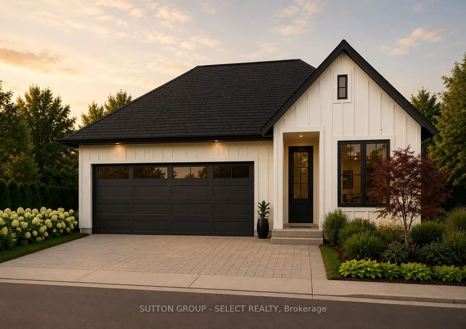 24 Purple Beech Trail
