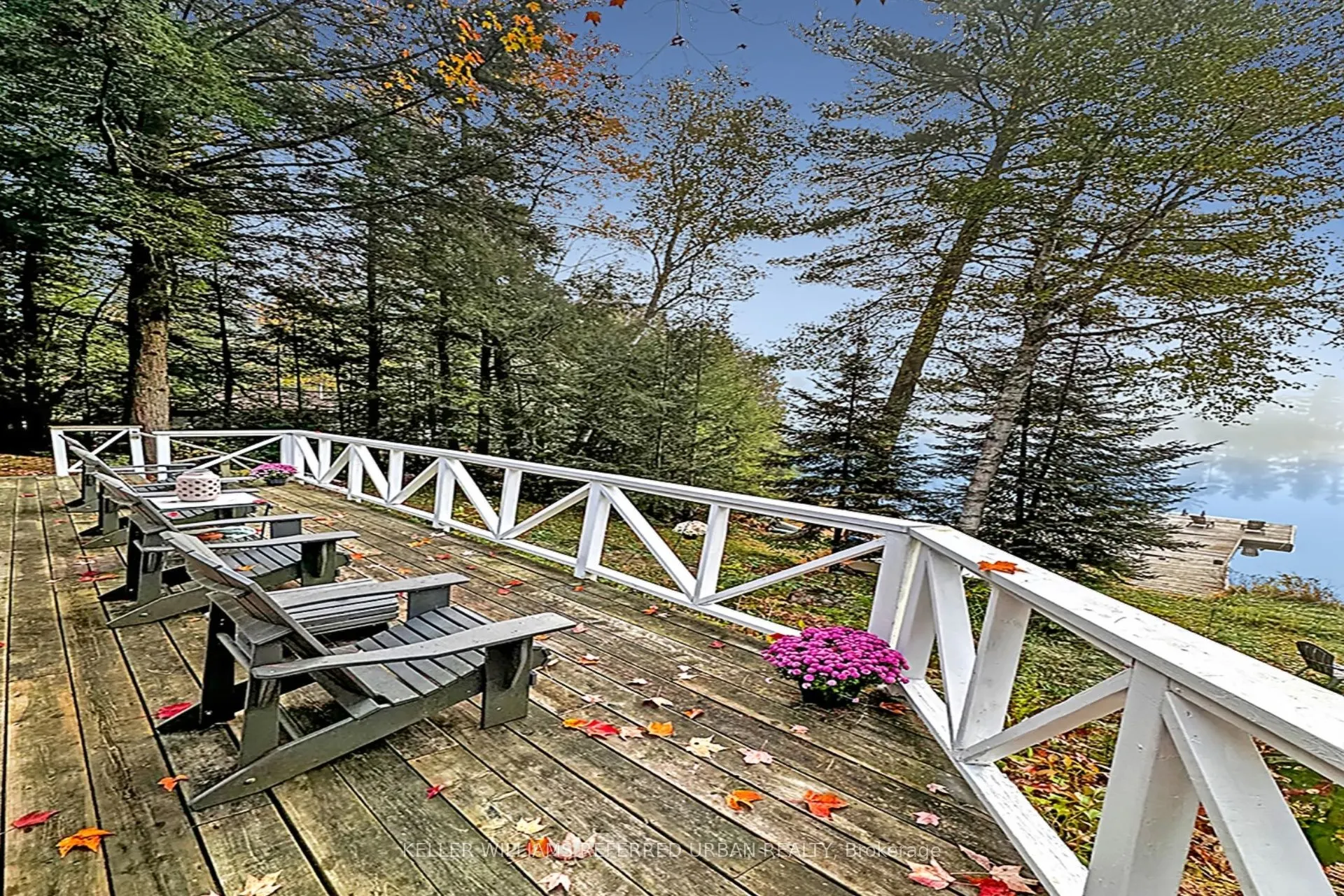 1118 Pine Lake Shores