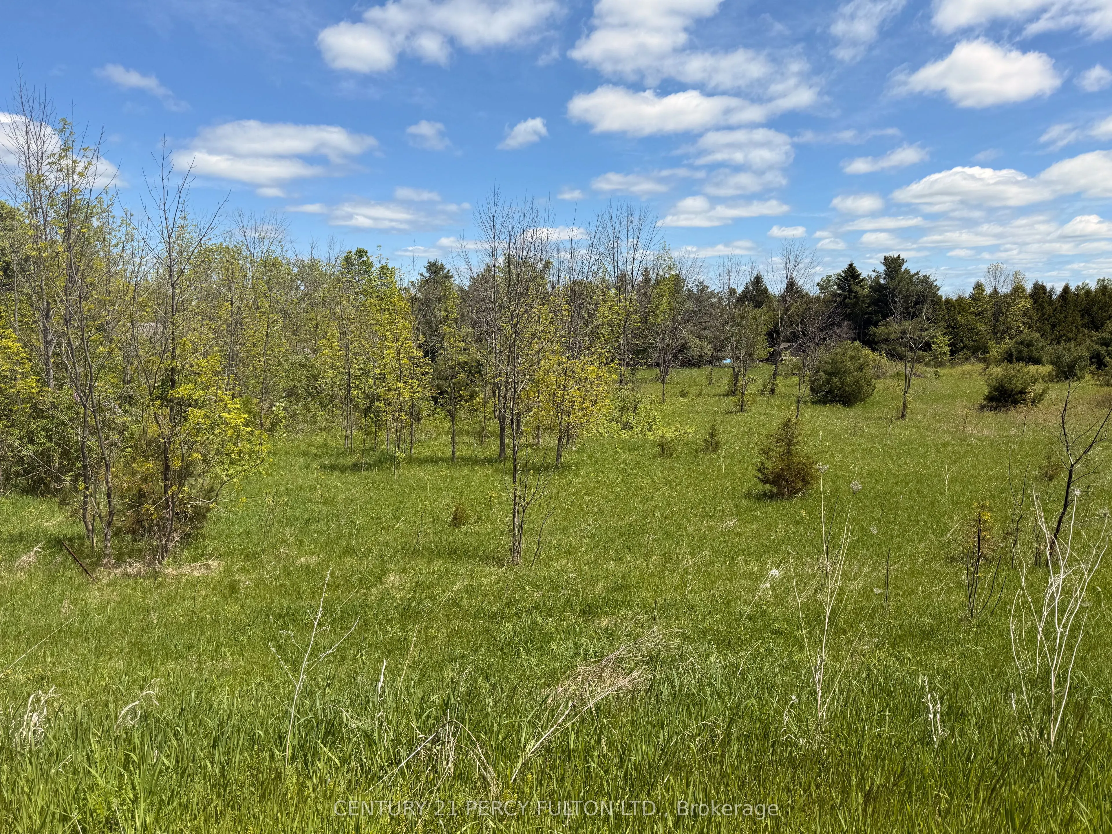 LOT 55, 56 &57 COUNTY RD 25