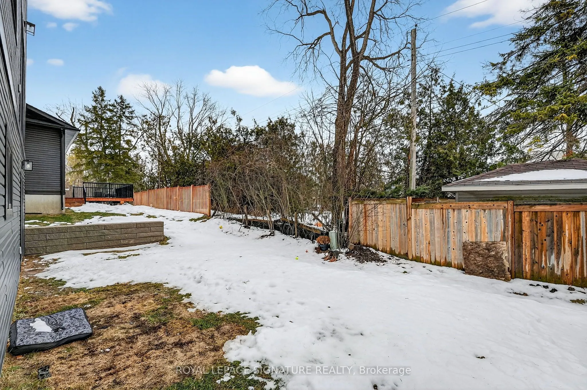297 Whiting Street #5