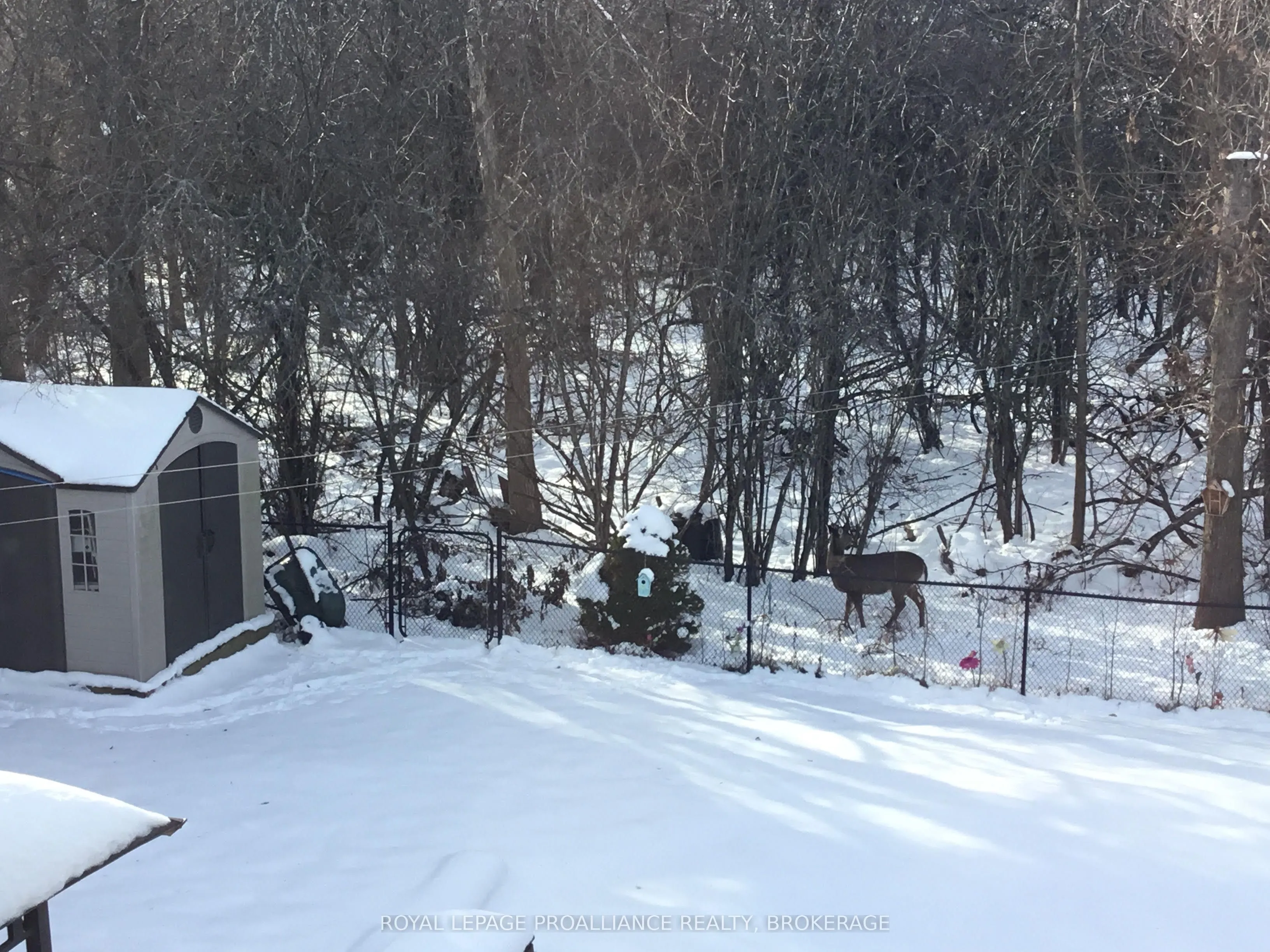 605 Fernmoor Drive