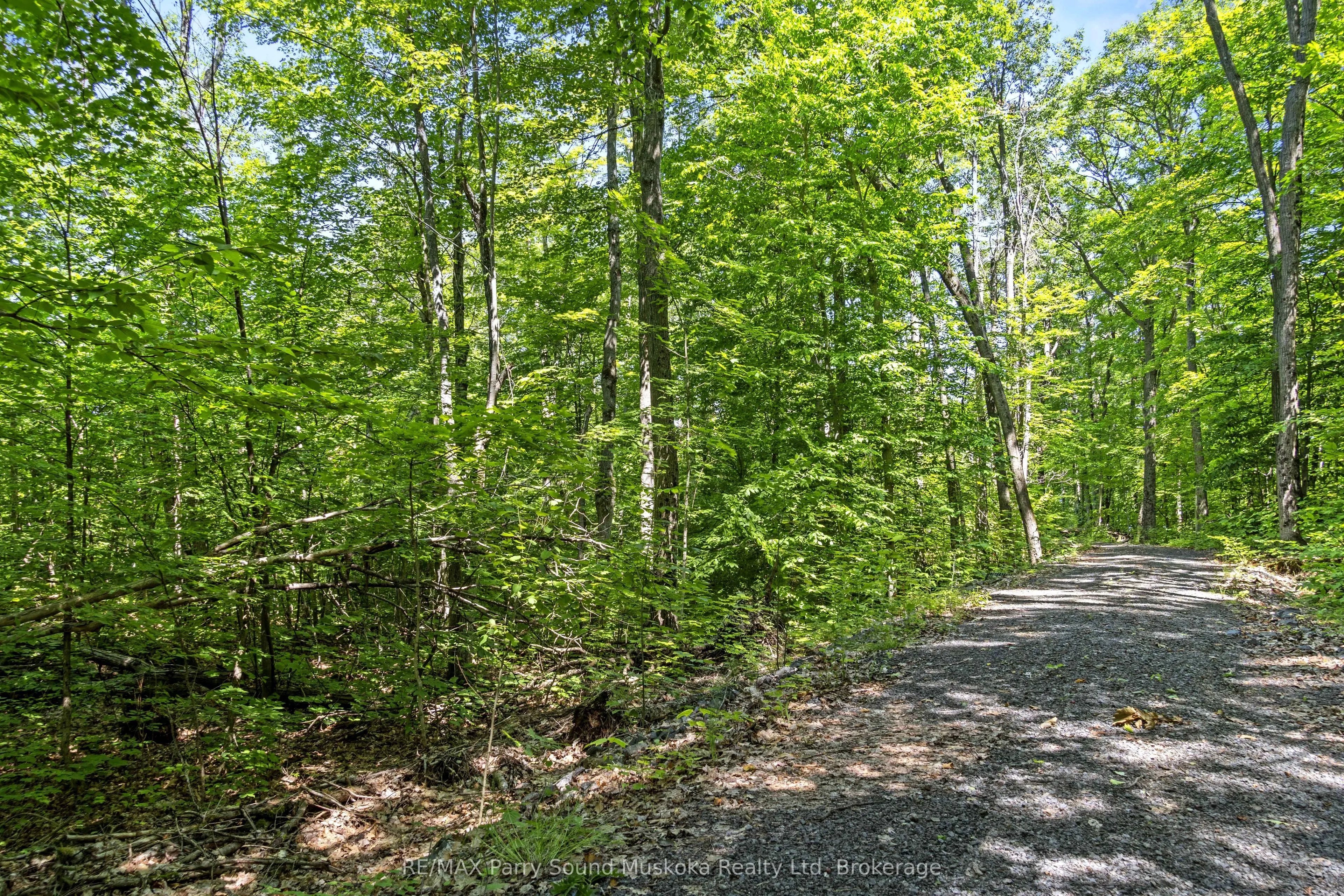 38 Fun Cottage Lane