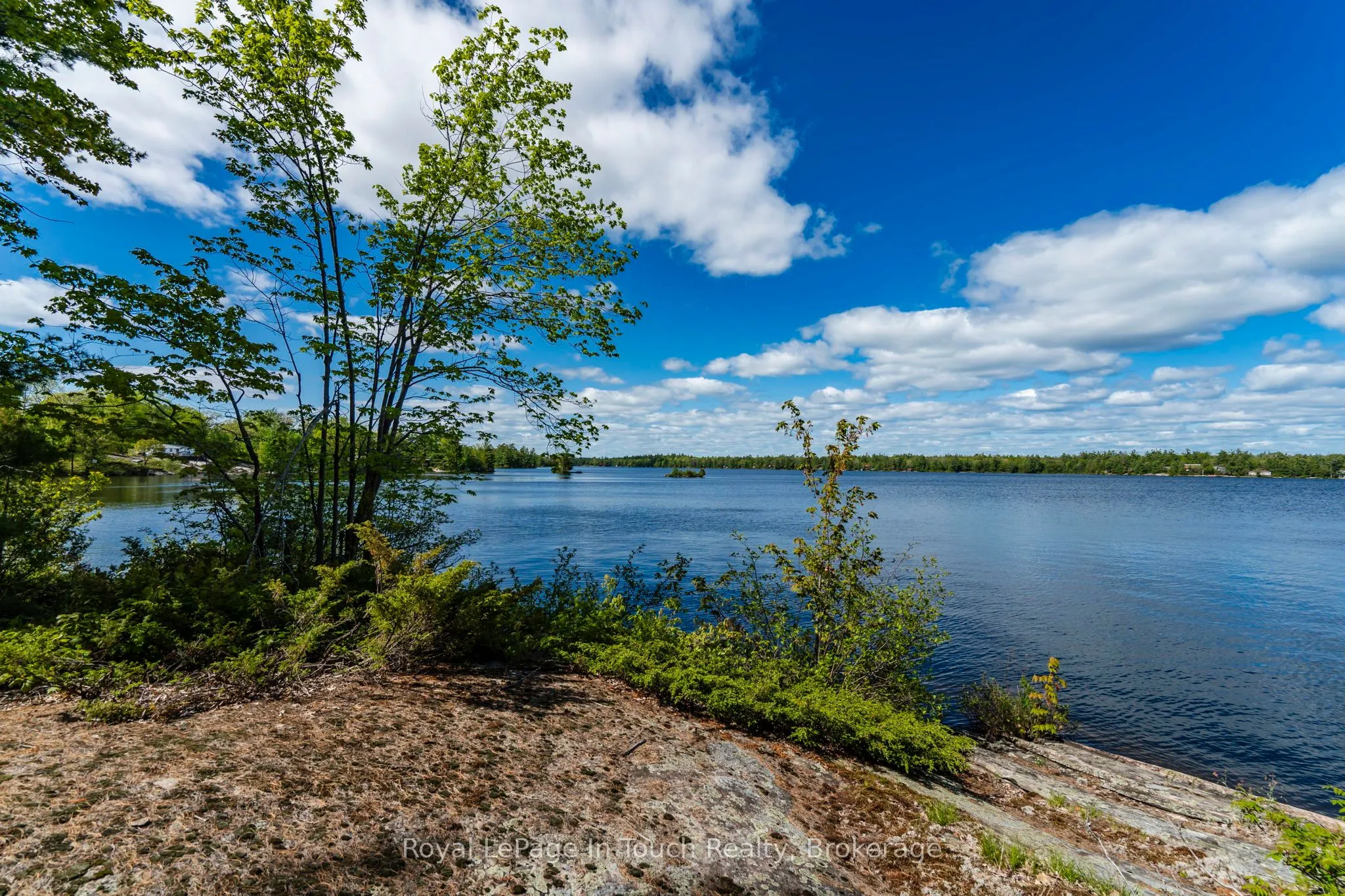 1958 Six Mile Lake Shore Island