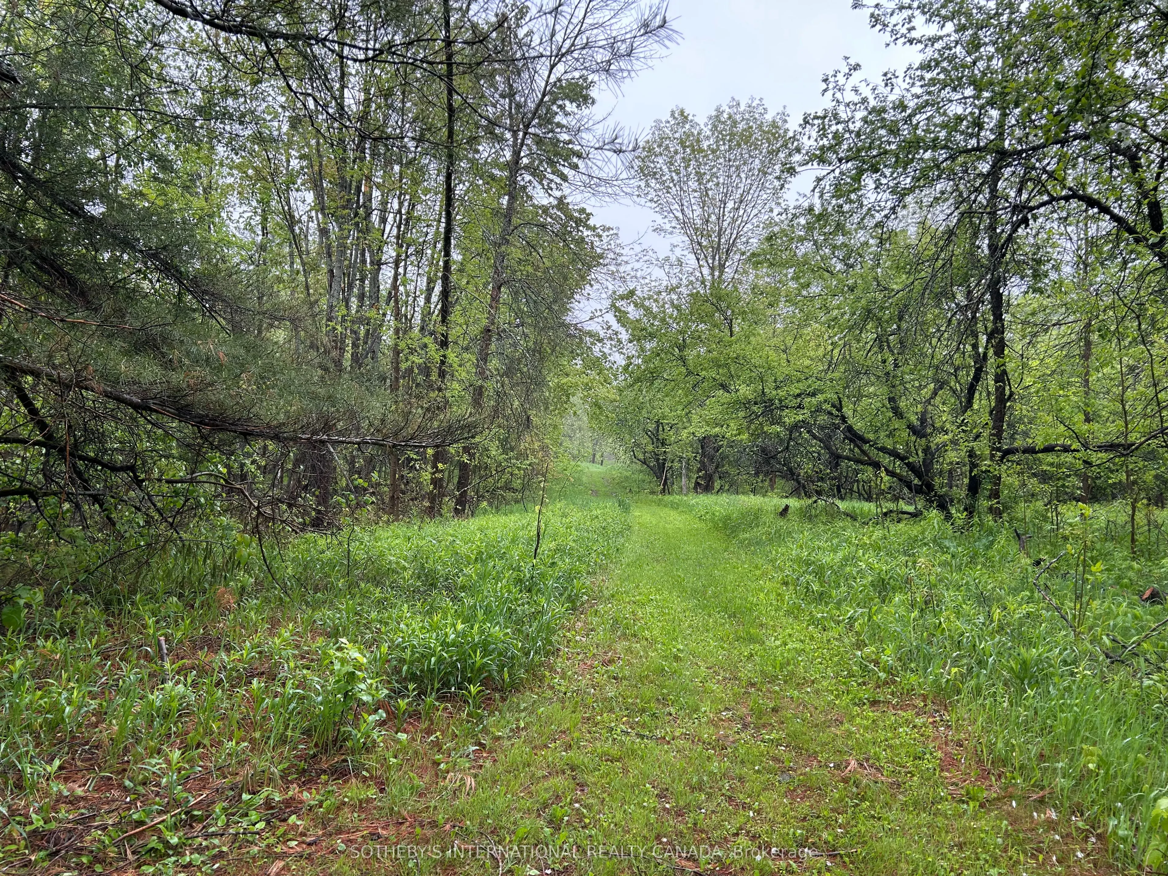 1824 County Rd 46