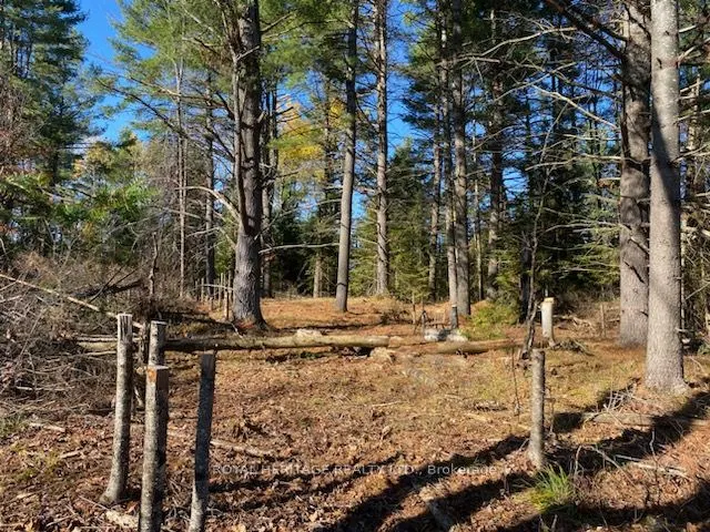 17556 Highway 62