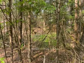 17556 Highway 62