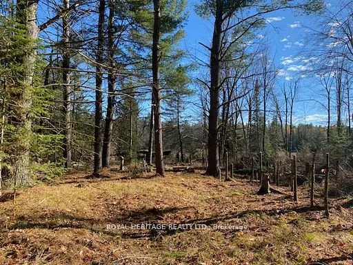 17556 Highway 62