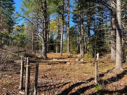 17556 Highway 62