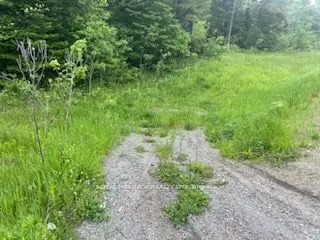 17556 Highway 62