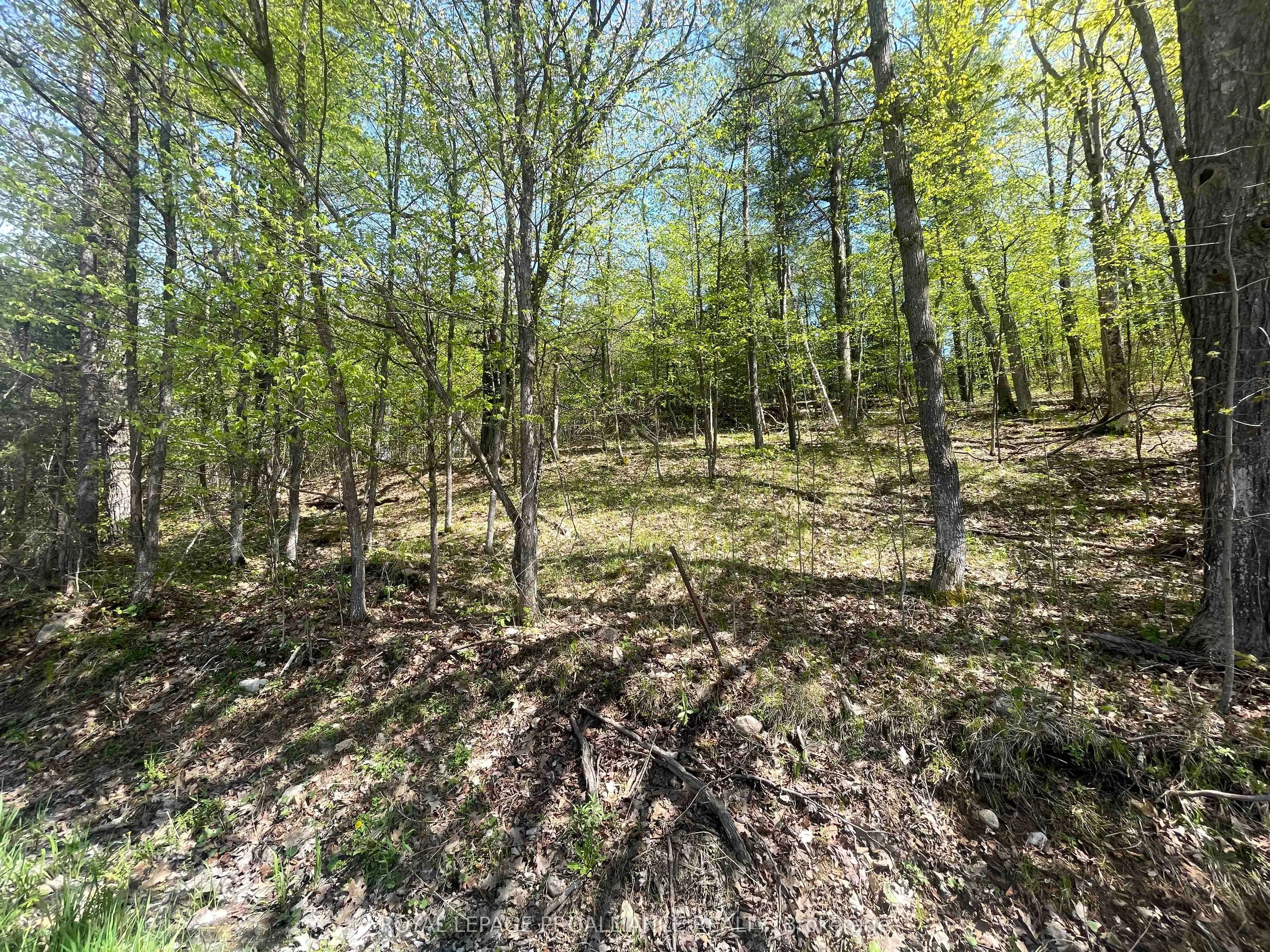 430 Beaver Road