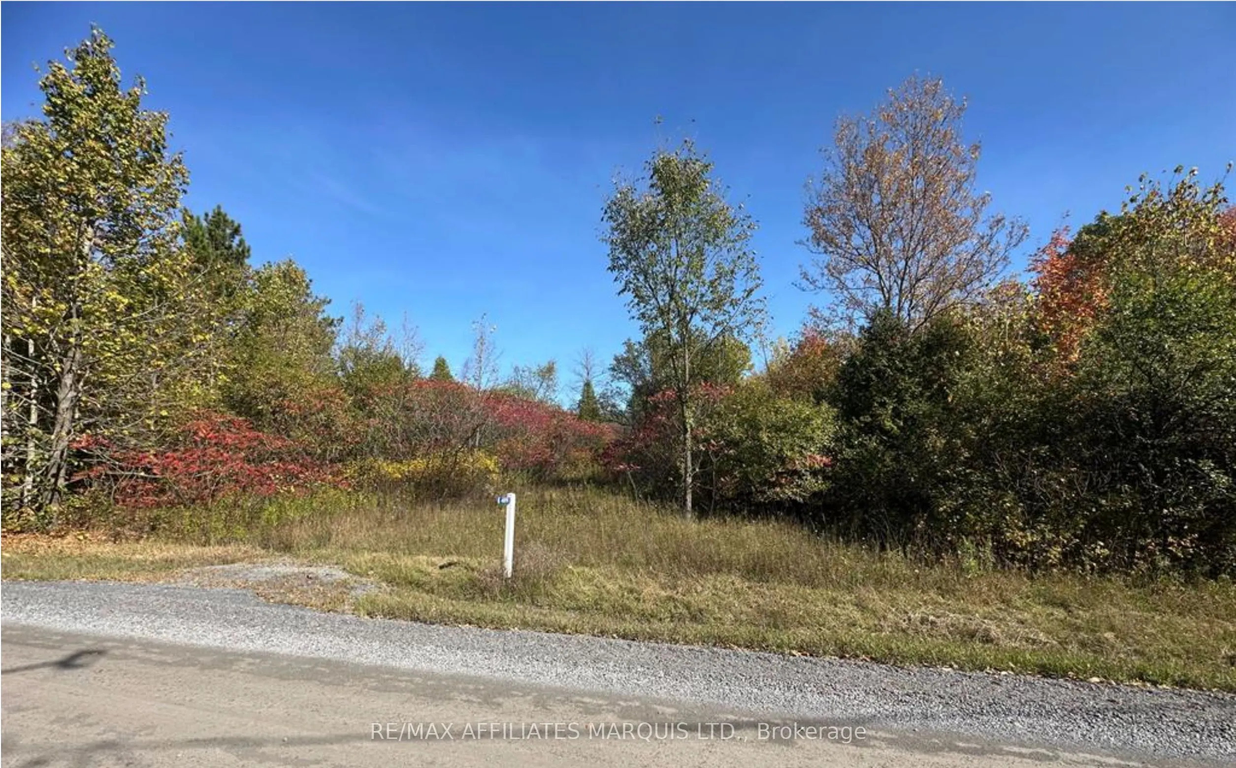 4891 Proctor Road