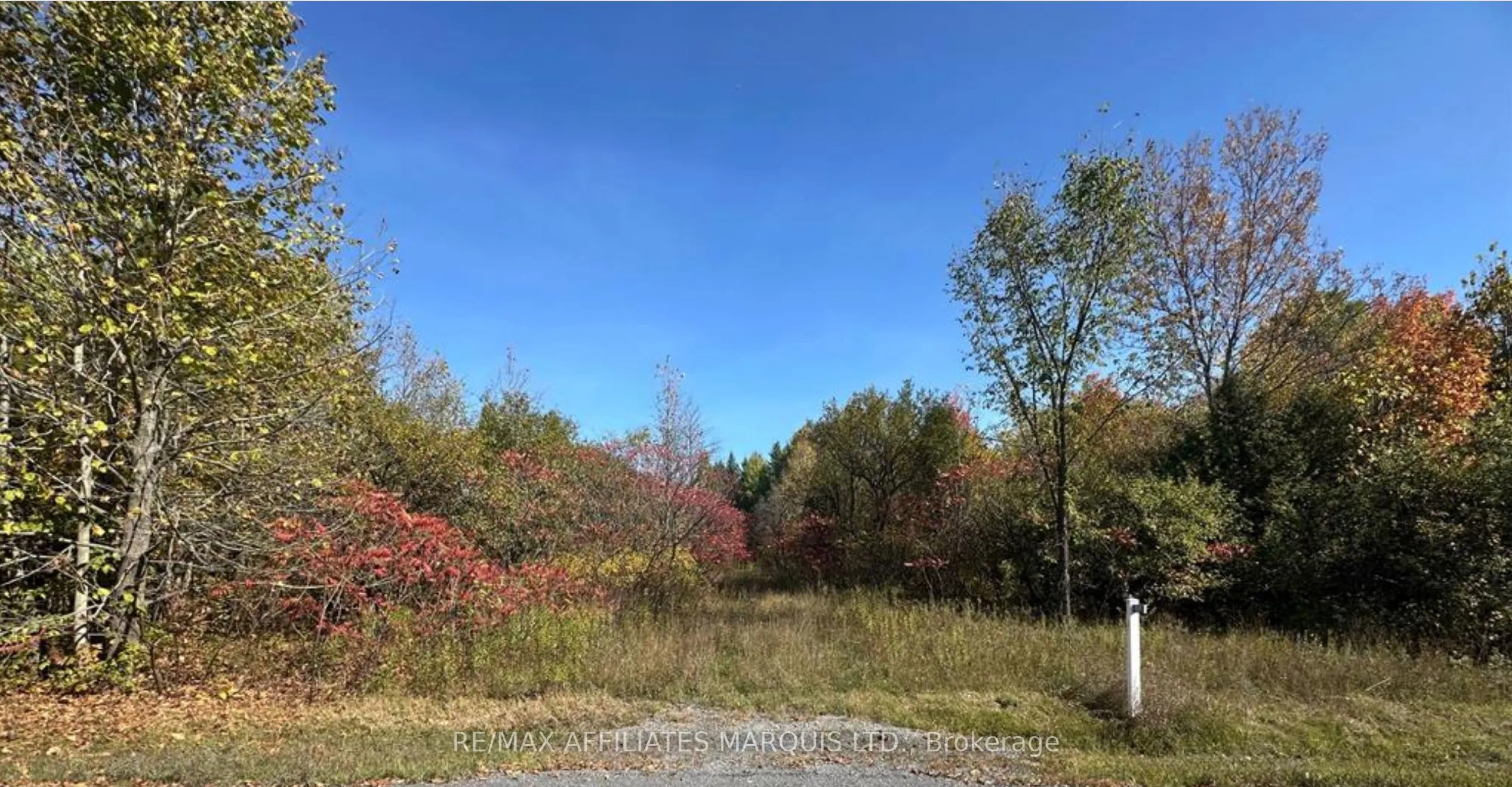 4891 Proctor Road