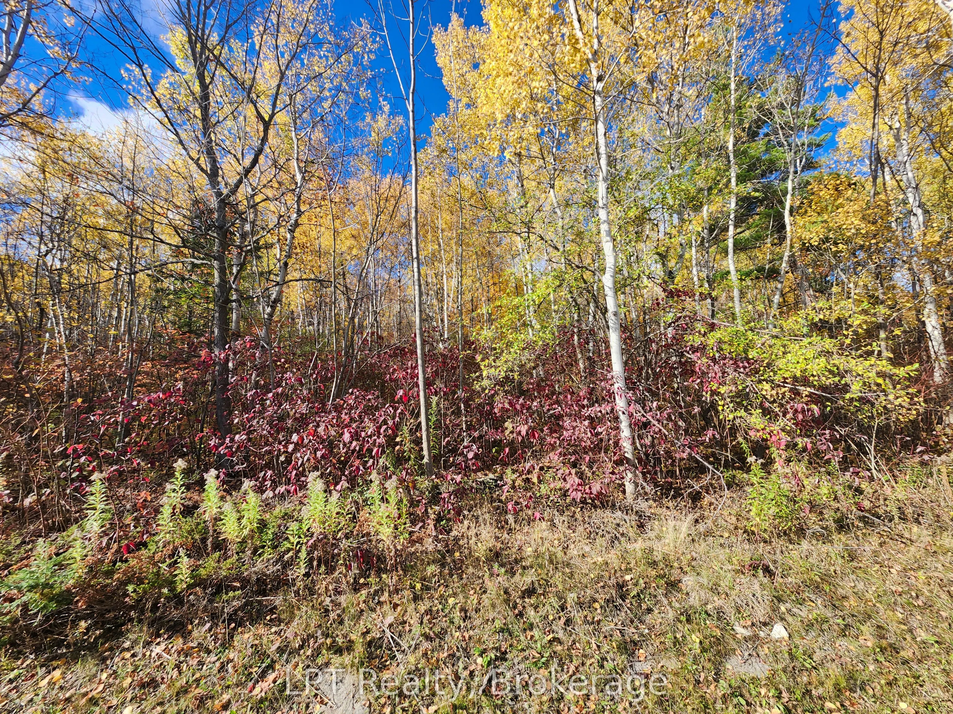 LT 15 Plan 834 Grey Road 1