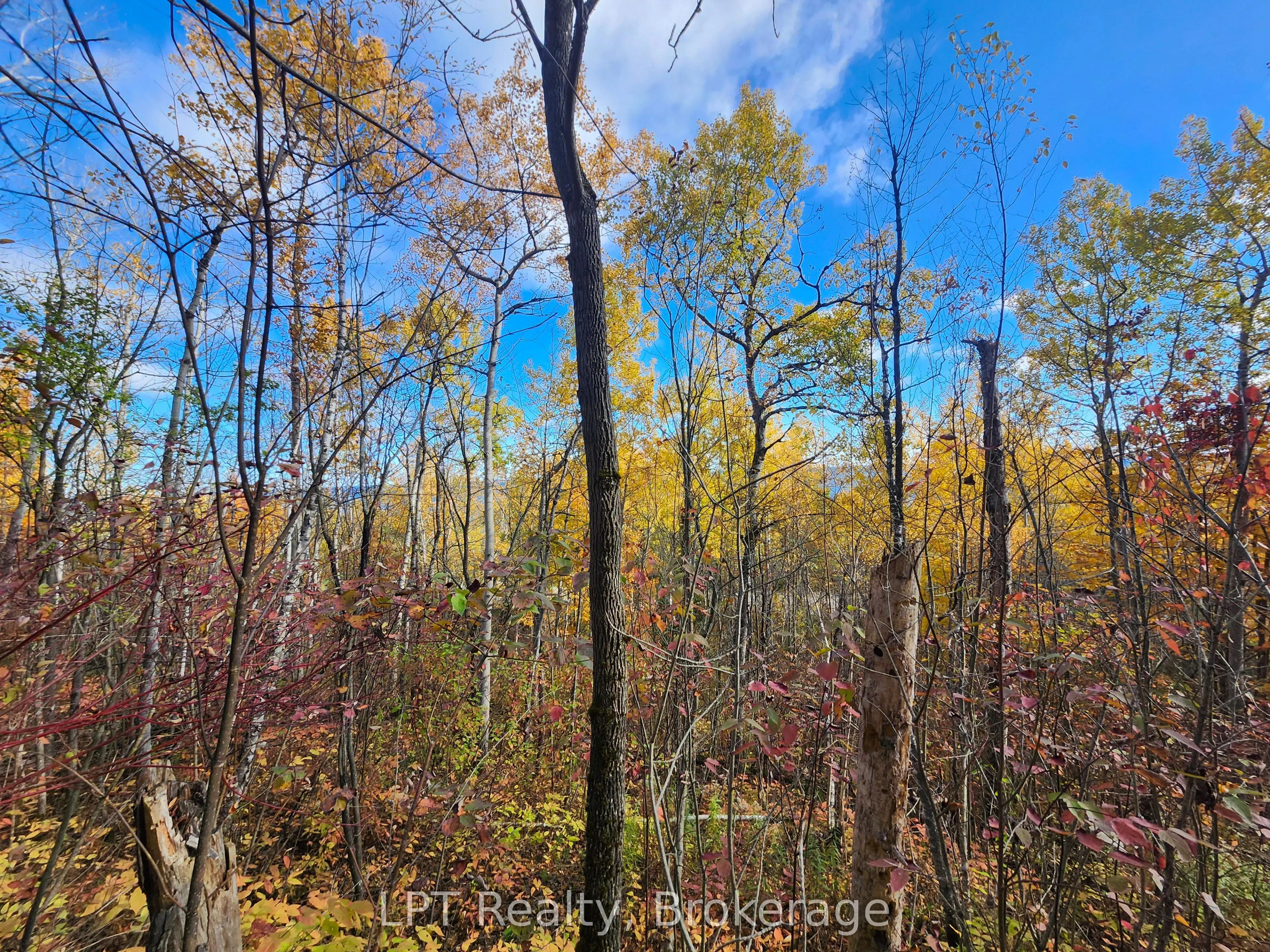LT 15 Plan 834 Grey Road 1