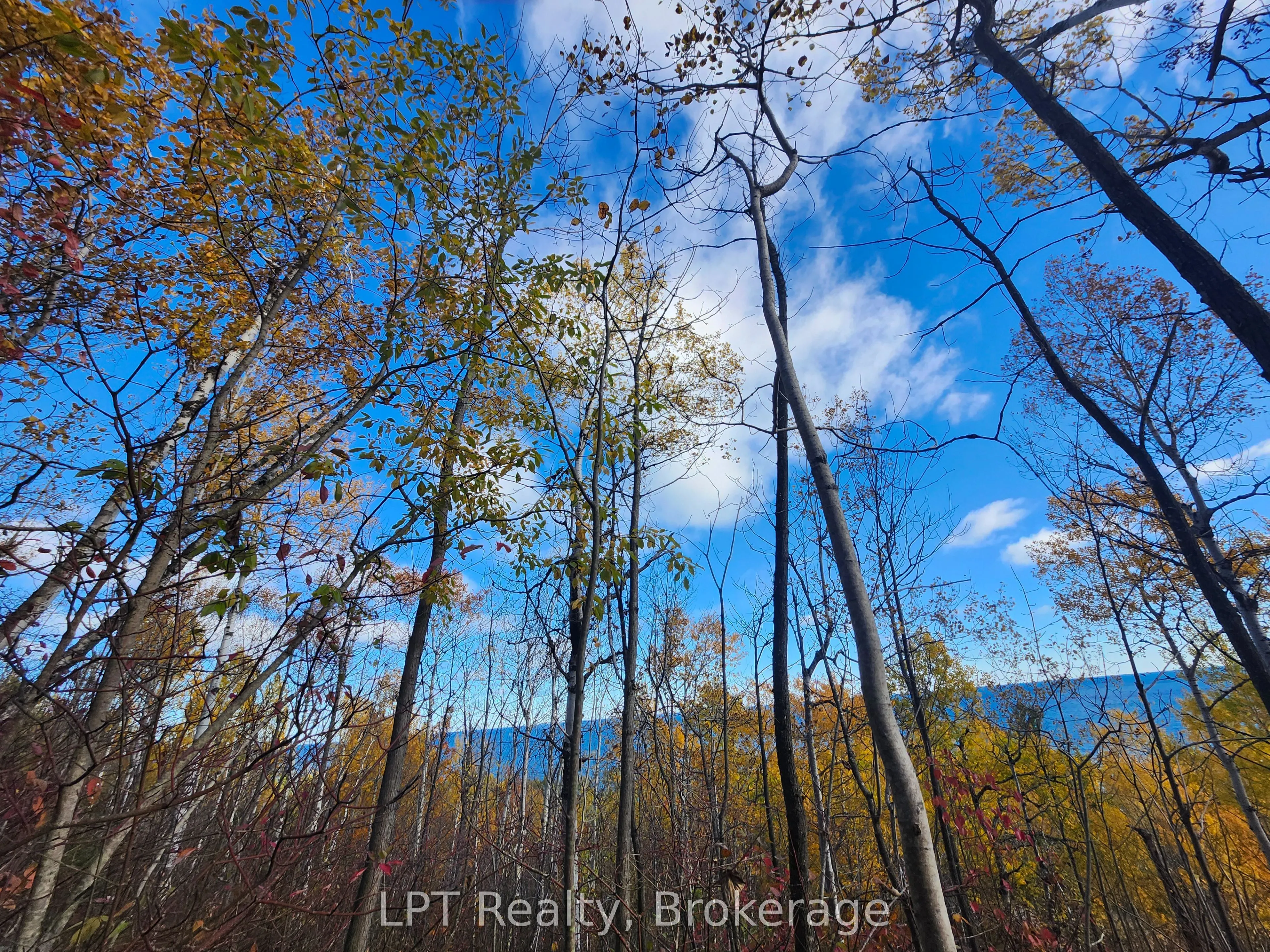 LT 15 Plan 834 Grey Road 1
