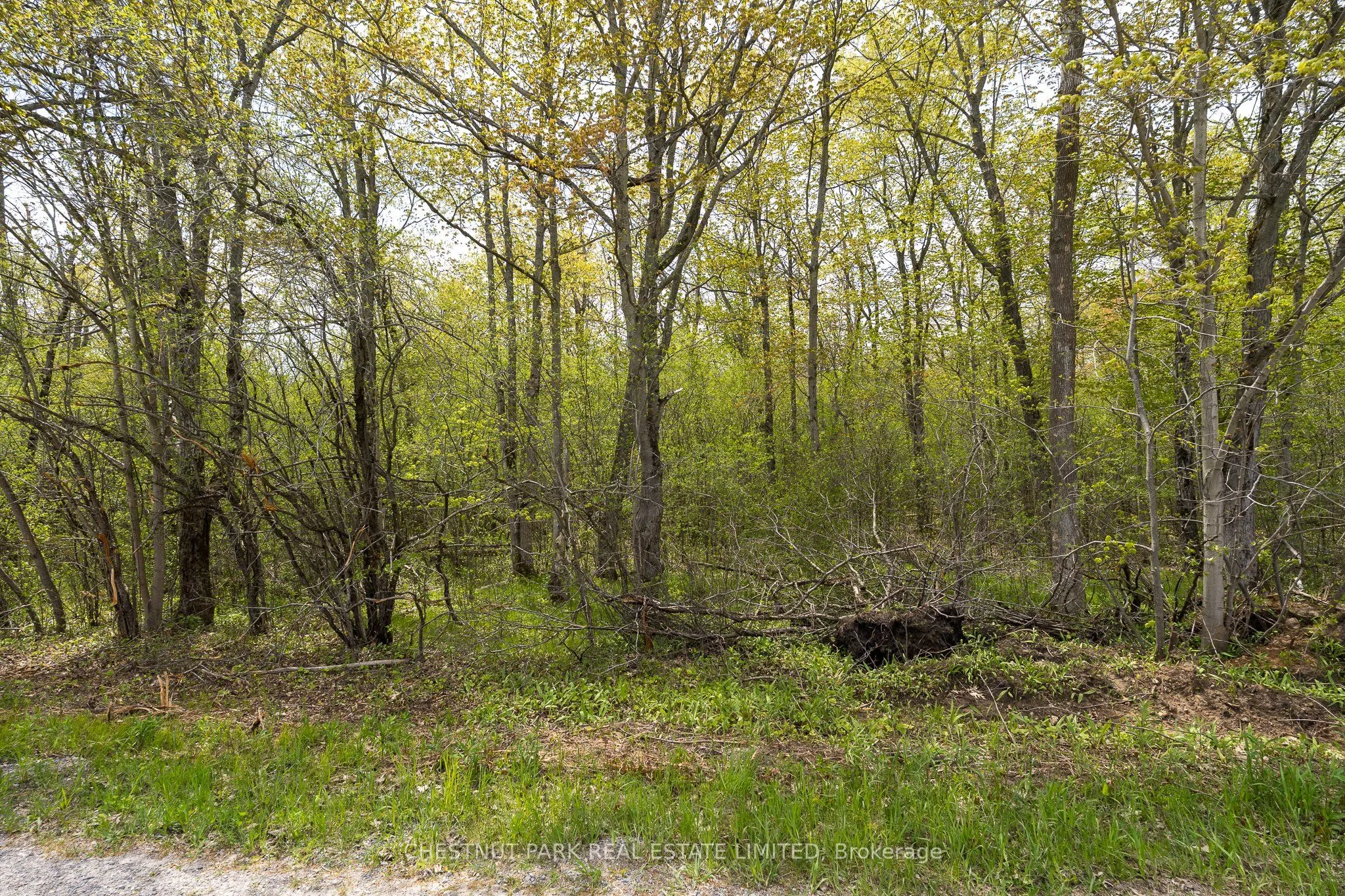 206 Simpson Road