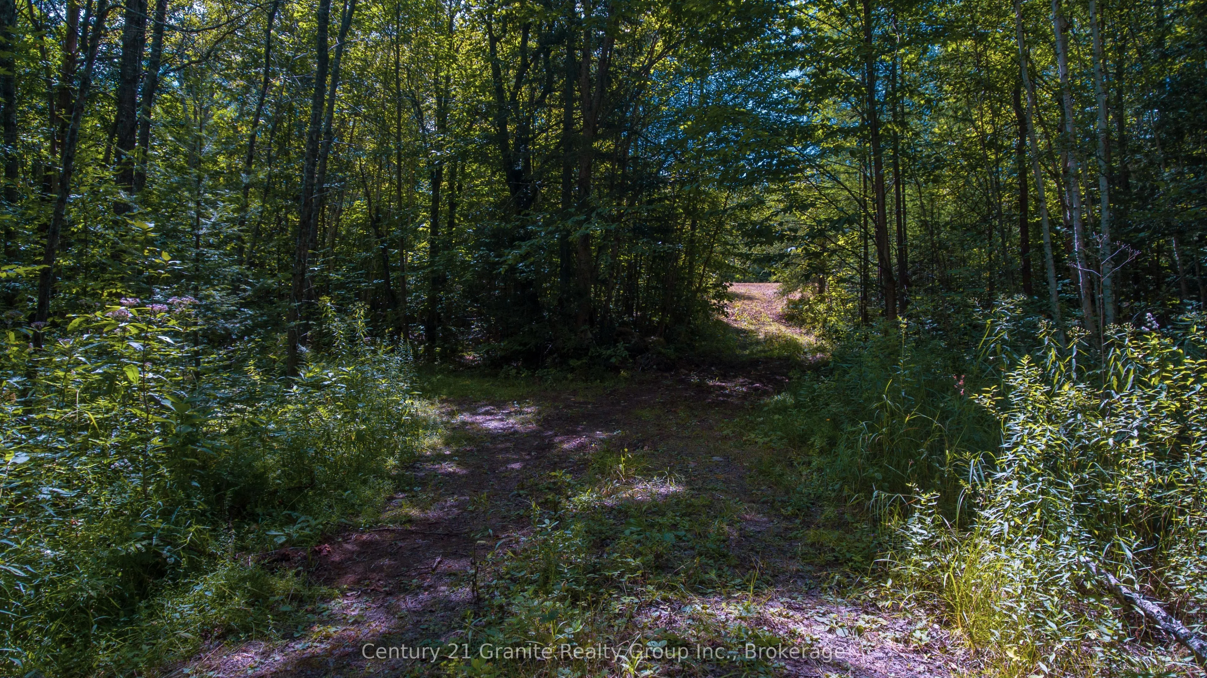 2368 Essonville Line Road