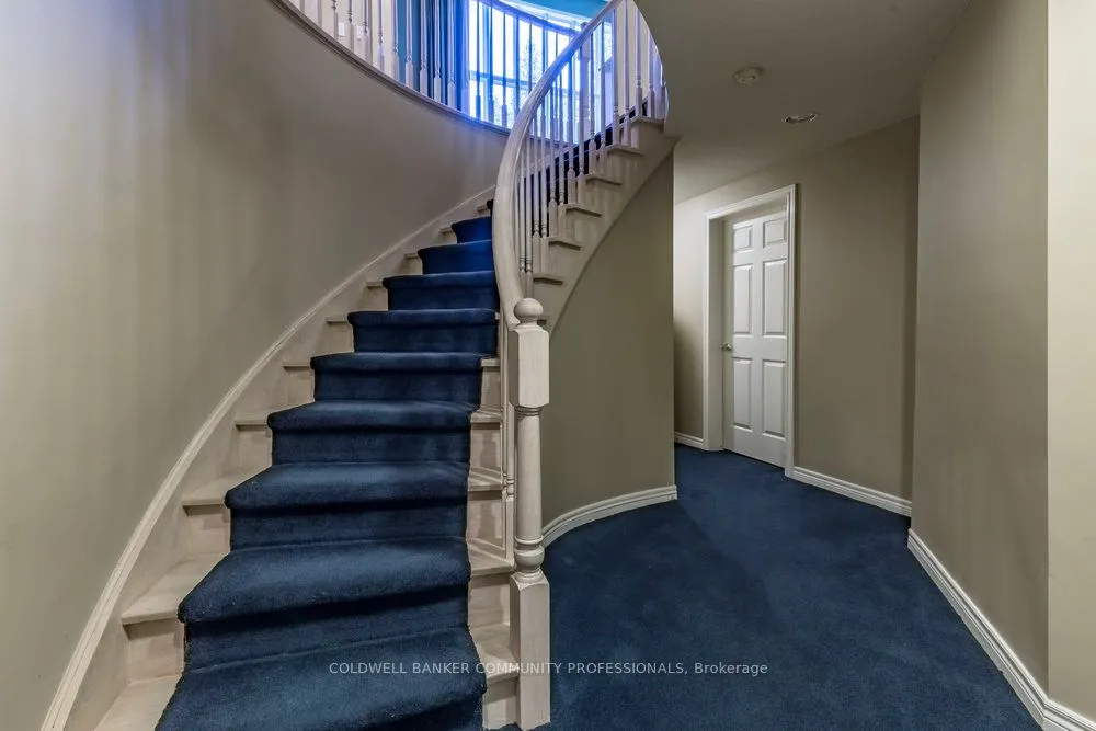 223 Briar Hill Crescent