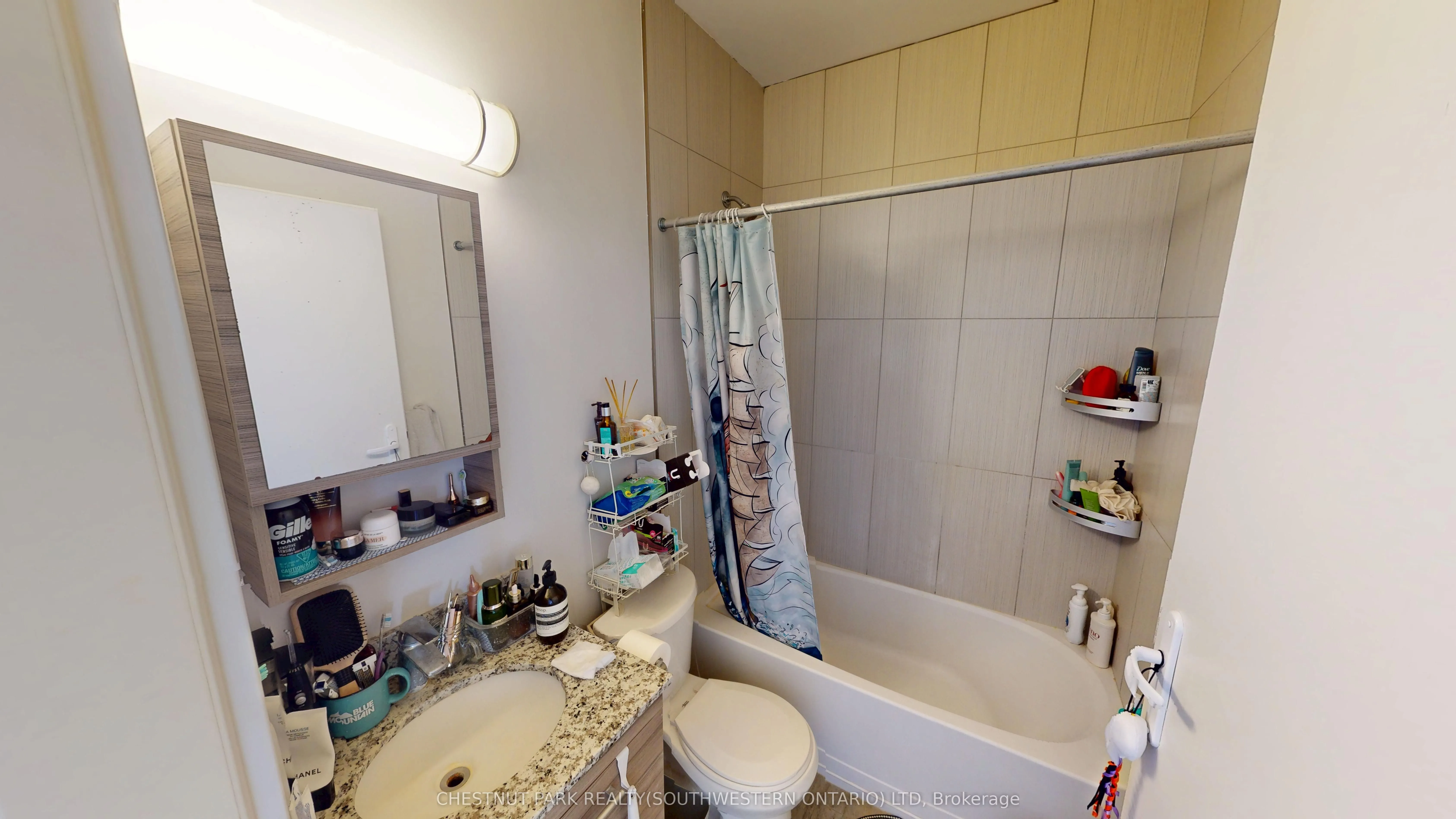 253 Albert Street #216