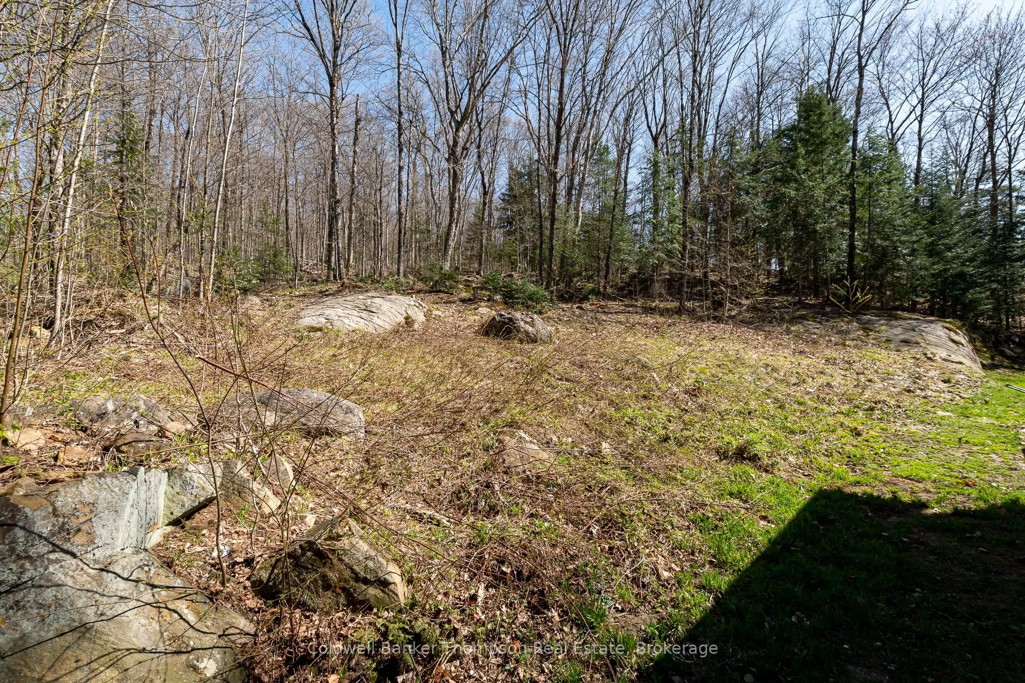 751 Old Muskoka Road