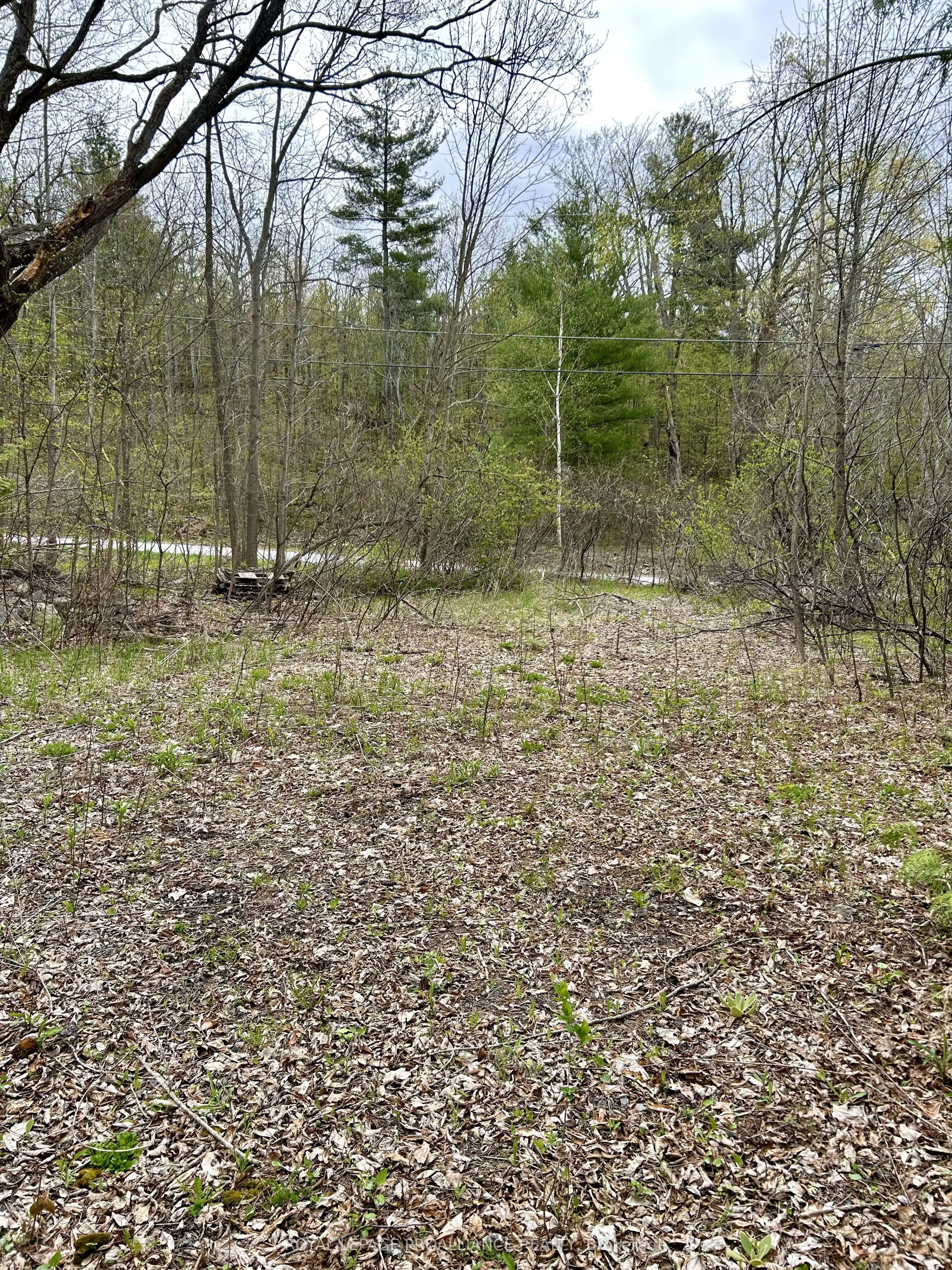 31 Glen Ridge Road