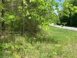 338 Glen Allen Road S