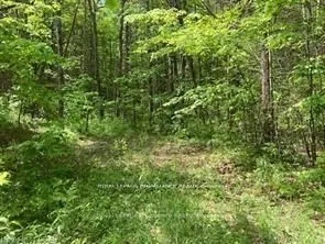 338 Glen Allen Road S