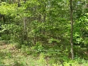 338 Glen Allen Road S